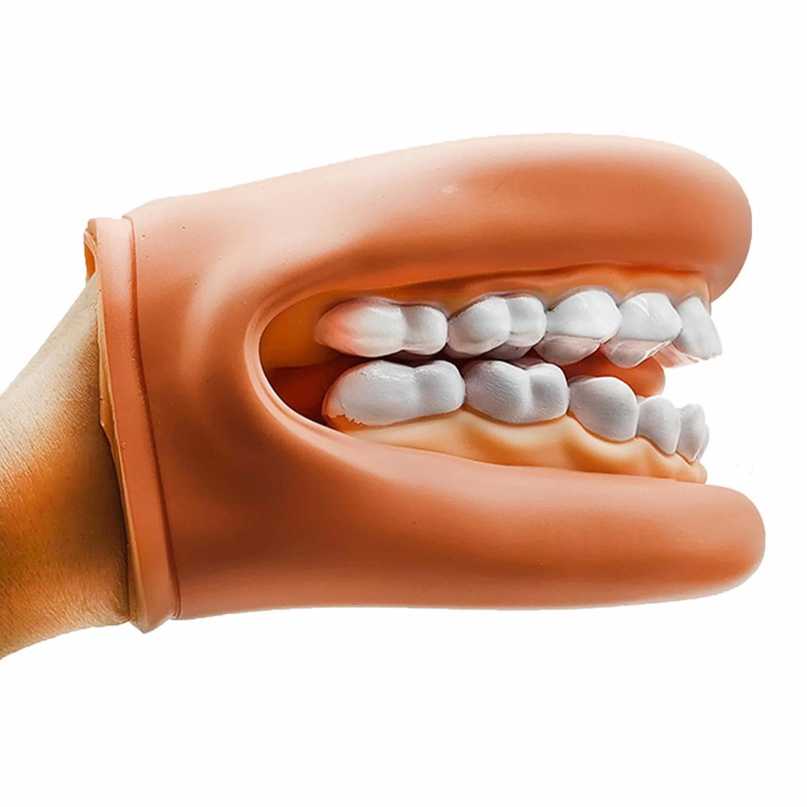 Modelo de Dientes Falsos Portátiles Educativos para Aprendizaje Práctico