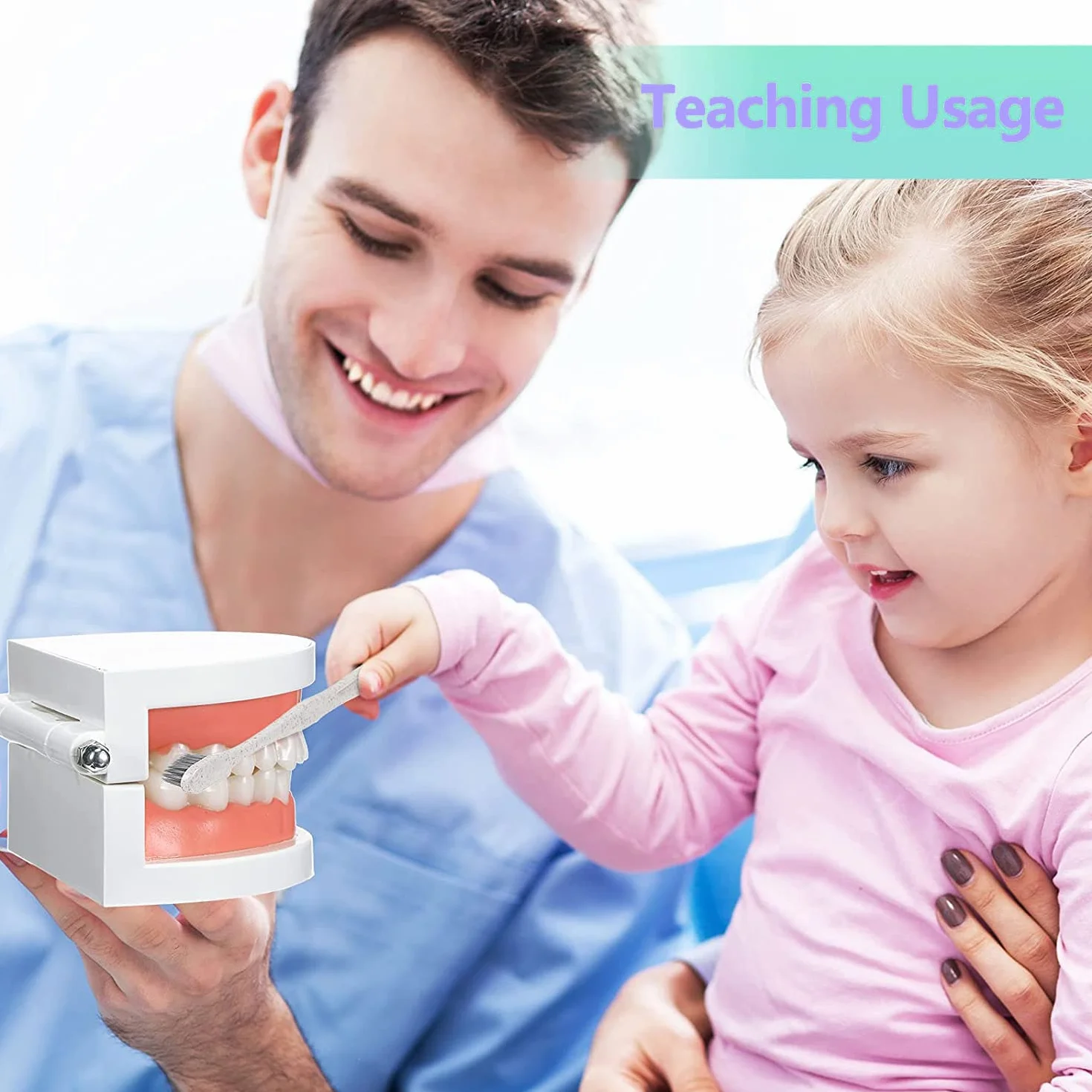 Modelo Dental de Demostración Estándar PVC para Adultos Niños Enseñanza Dental Cuidado Bucal con 2 Cepillo de Dientes