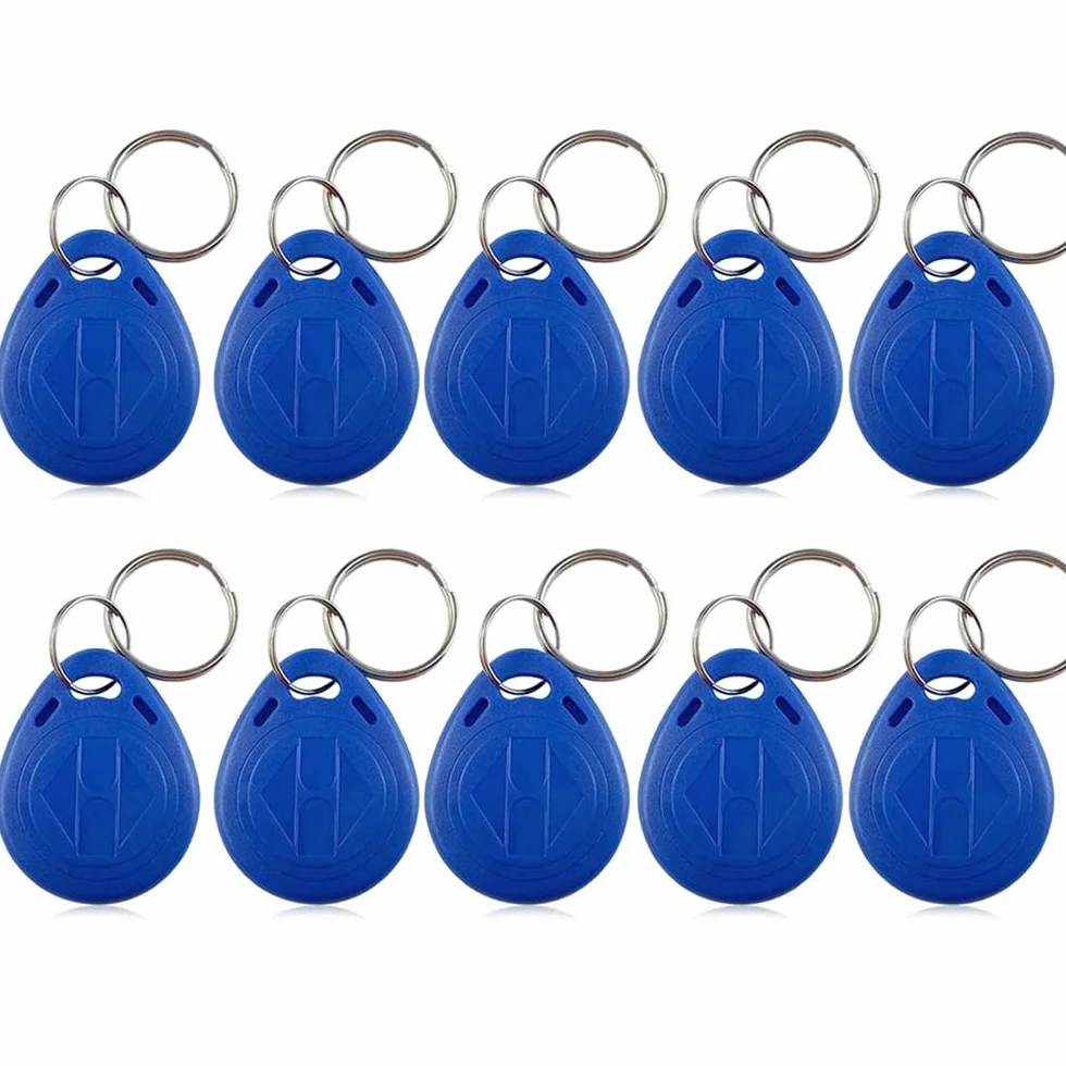 LUCINE 100 unidades 125 KHz RFID Llaveros TK4100 EM4100 para control de acceso
