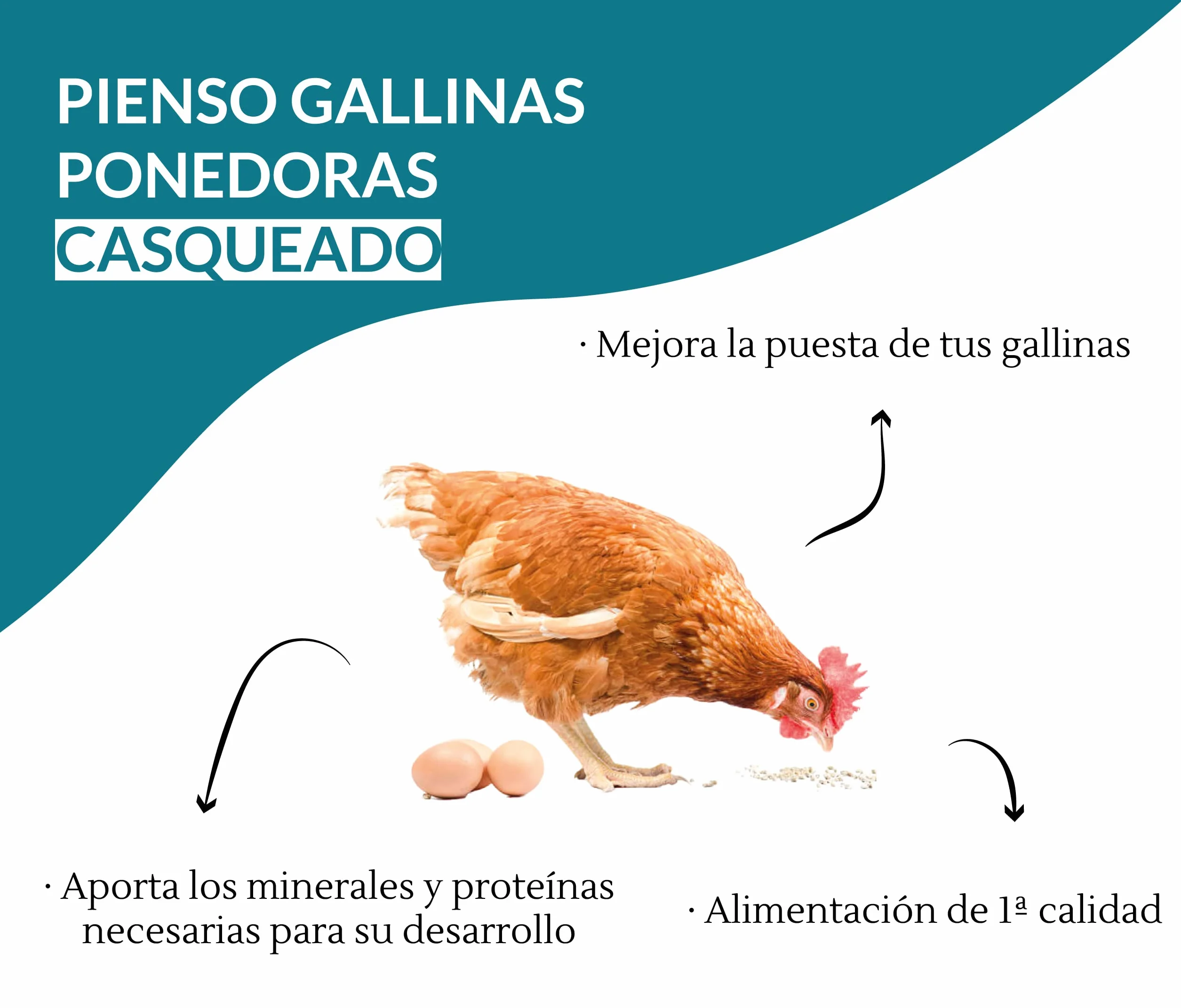Pienso Gallinas Ponedoras Casqueado, Saco 30 kg