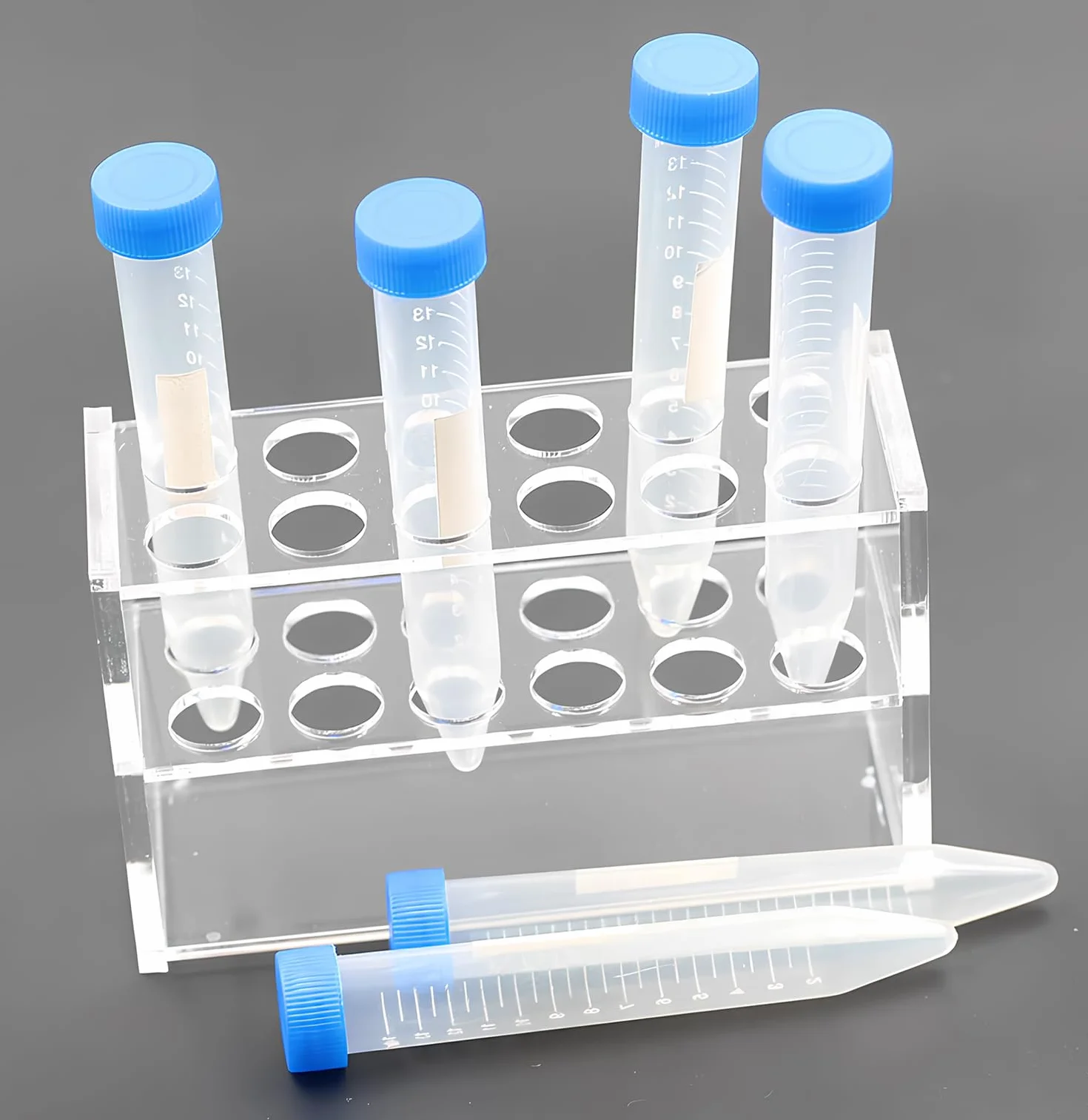 Zócalos de acrílico transparente para tubos de ensayo de 10 ml - 12 unidades