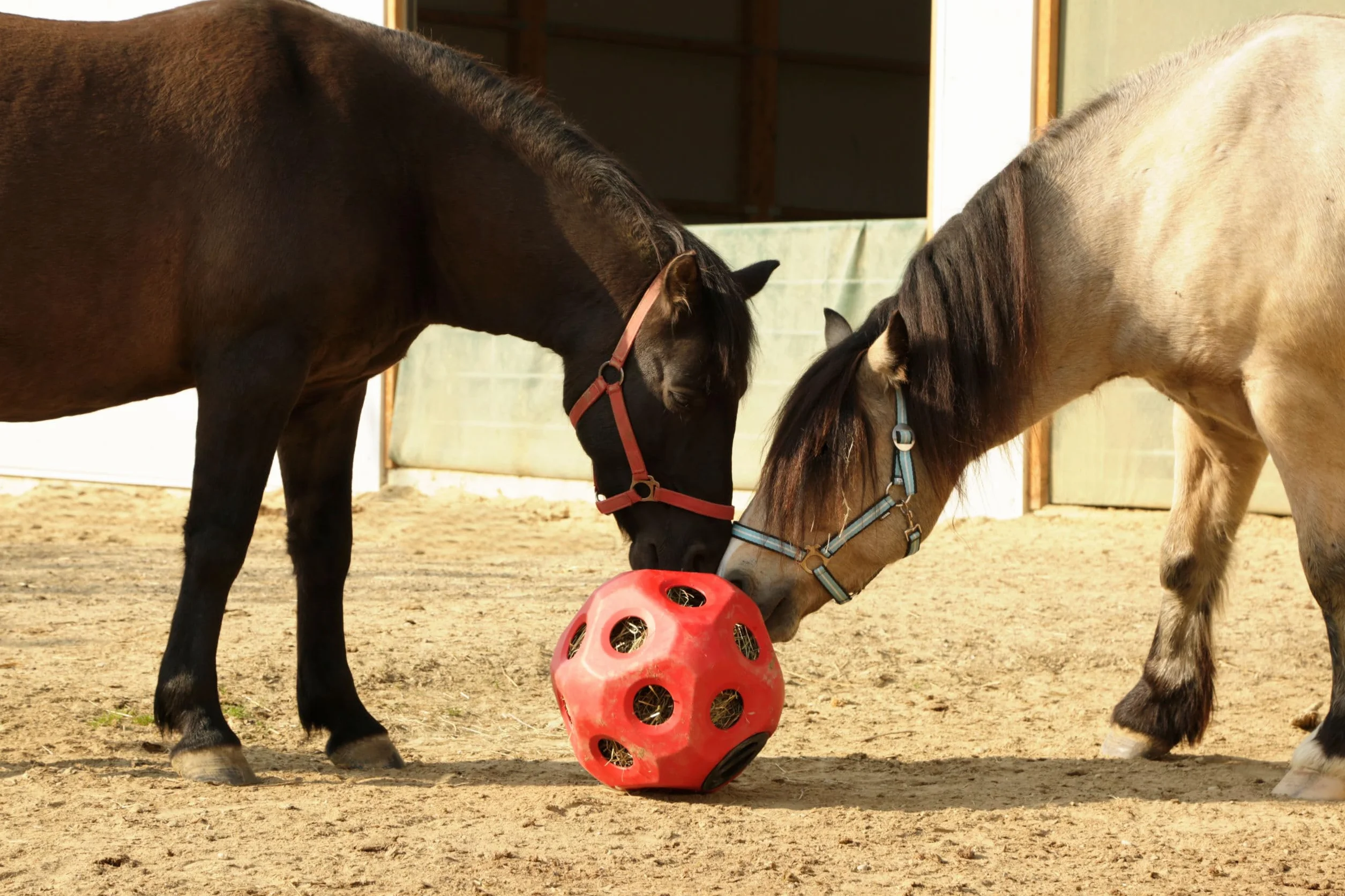 Kerbl Pelota de alimentación roja Ø40 cm rellenable para caballos y terneros