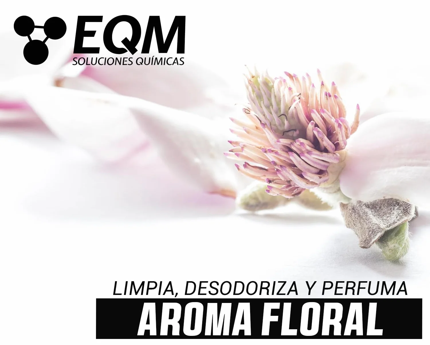 EQM ECO-202 Fregasuelos 5L Desengrasante Desodorizante