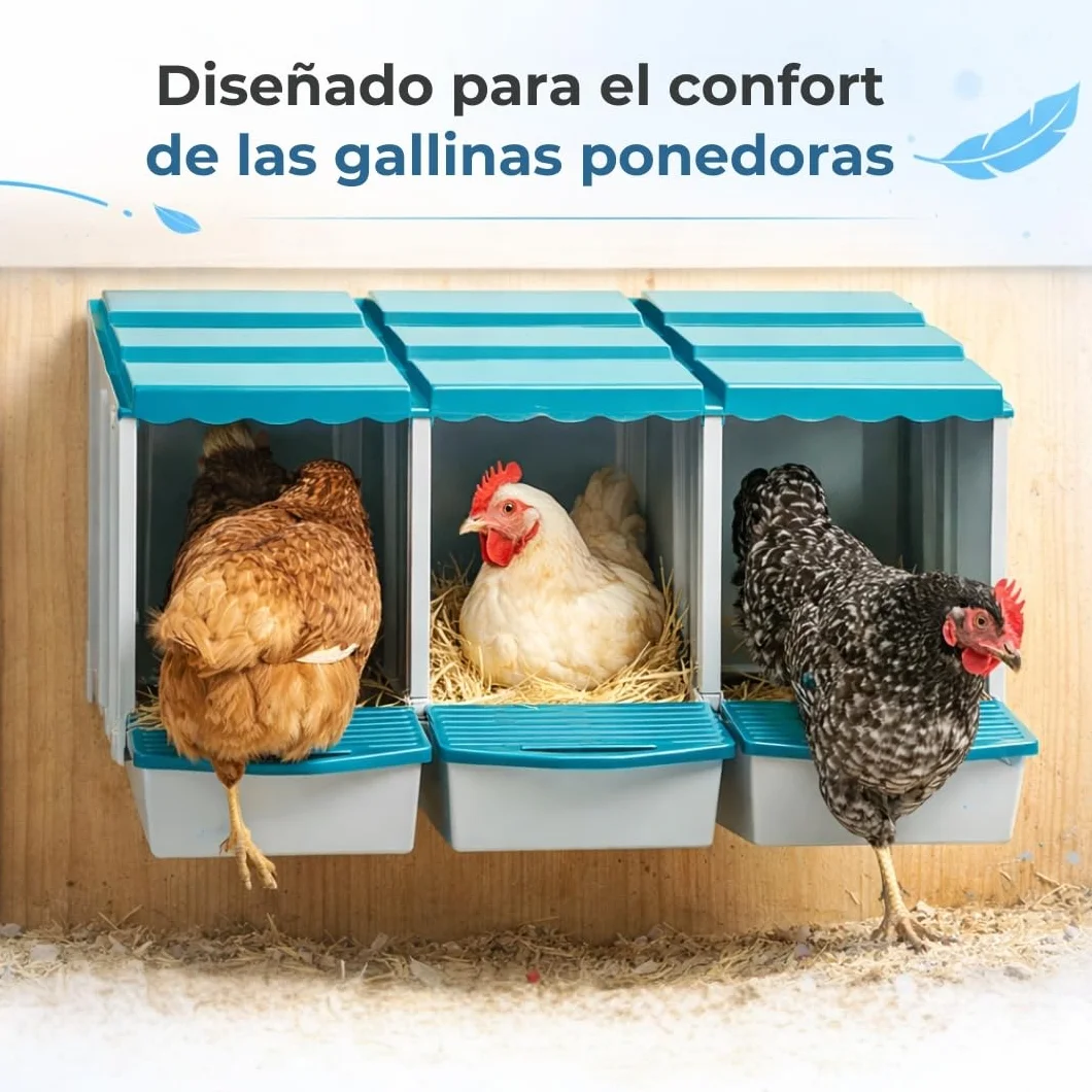 PONEDEROS para GALLINAS con 3 Huevos Falsos, Bolsa de Tela, Manual y Guía de Incubación - Nido Gallinas Ponedoras