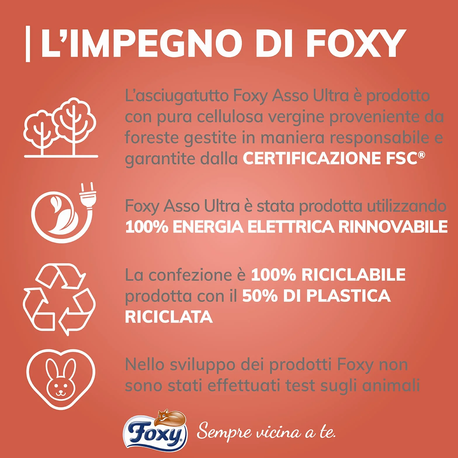 Foxy Asso Ultra Secador 2 rollos Veli Plus Absorbentes Resistentes Decorado Certificado FSC