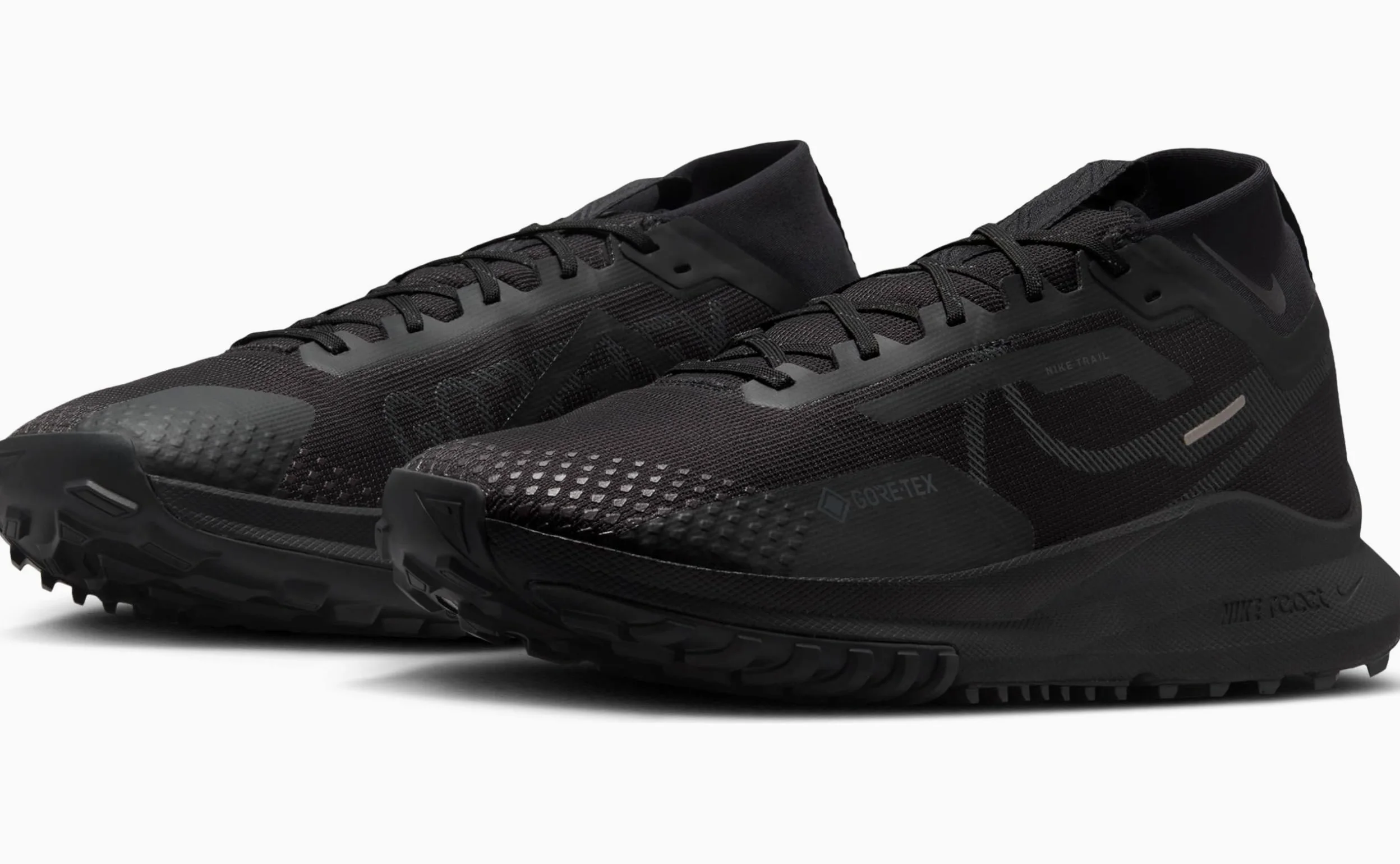 Nike Running Shoe Nike Pegasus Trail 4 Gore-Tex Zapatilla De Trail Running Impermeable para Hombre, Black/Anthracite-Velvet Brown, HM9728-002, 42 EU (8.5 US)