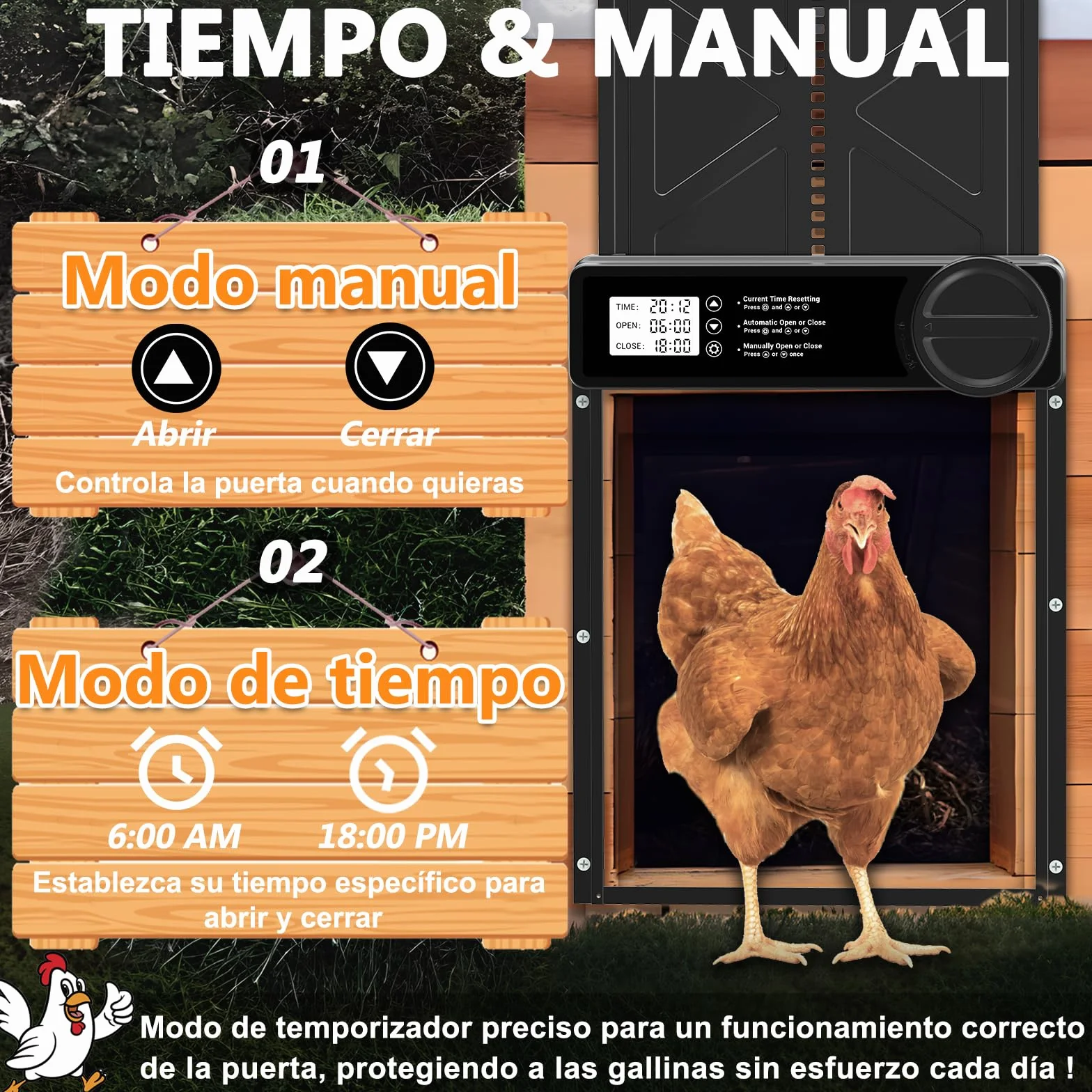 INNOLAND Puerta Gallinero Automática Grande con Pantalla LCD, Aluminio, Anti-atrapamiento, Alimentada por Batería