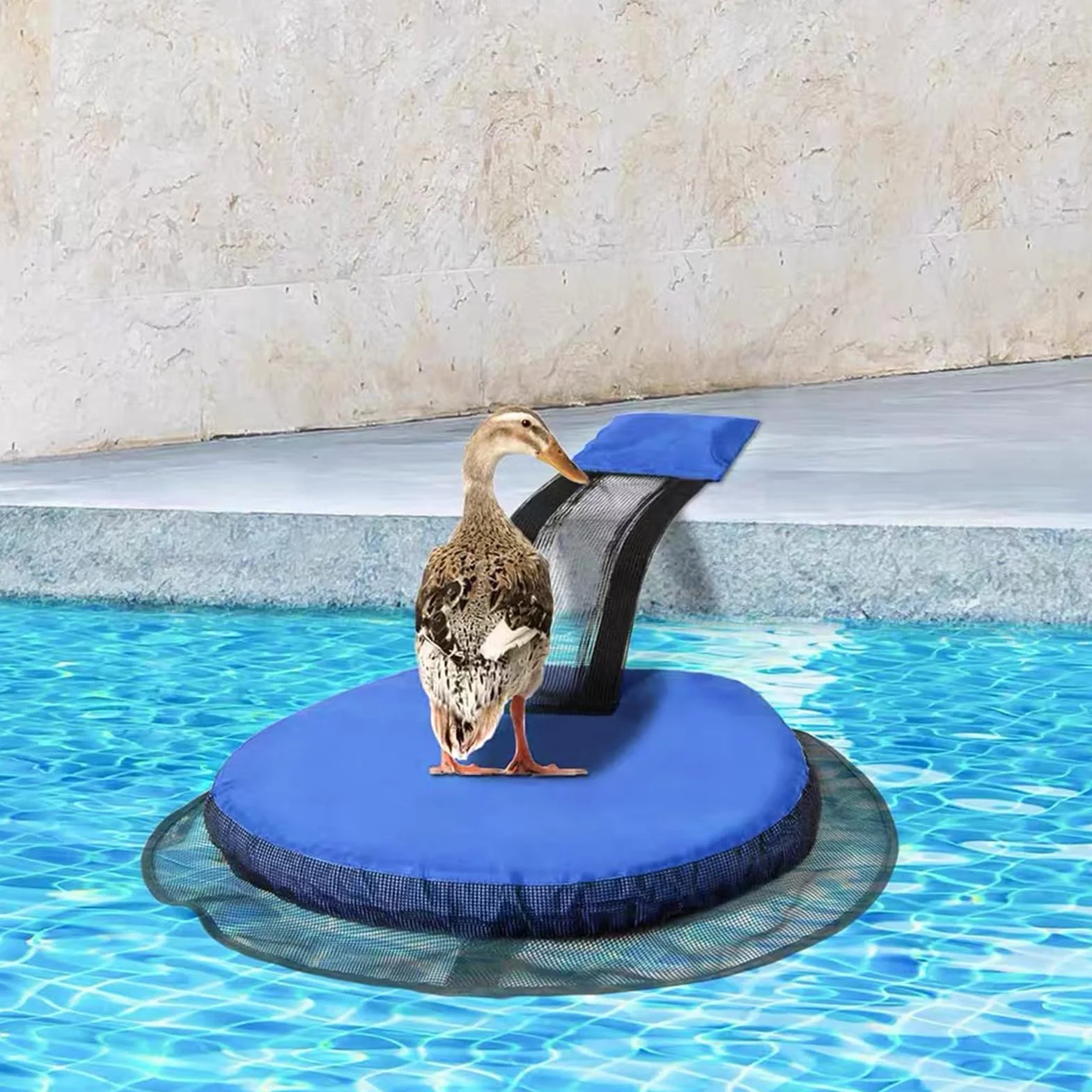 Qooloo Rampa de Rescate para Piscina, Rescate de Animales, Accesorio de Salida