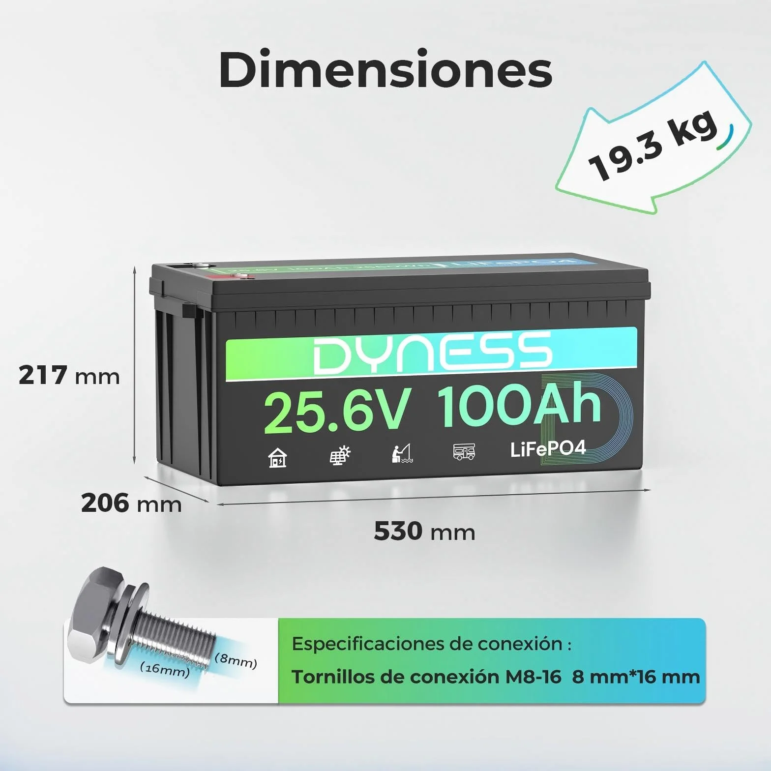 Dyness Batería Litio 24V 100Ah LiFePO4 con BMS 100A Protección Bajas Temperatura para Camper Solar