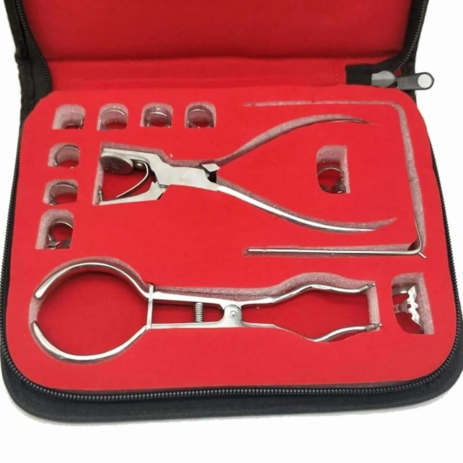 Modelo anatómico humano kit de dique de goma para endodoncia dental con marcos de abrazaderas