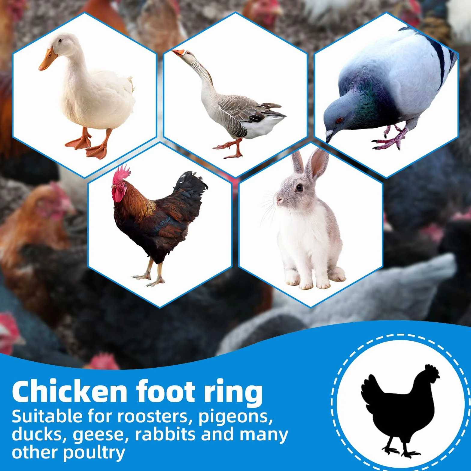 48 Piezas Anillos para Patas de Pollo Multicolor Identificación Clips Numerados para Aves de Corral (20mm)