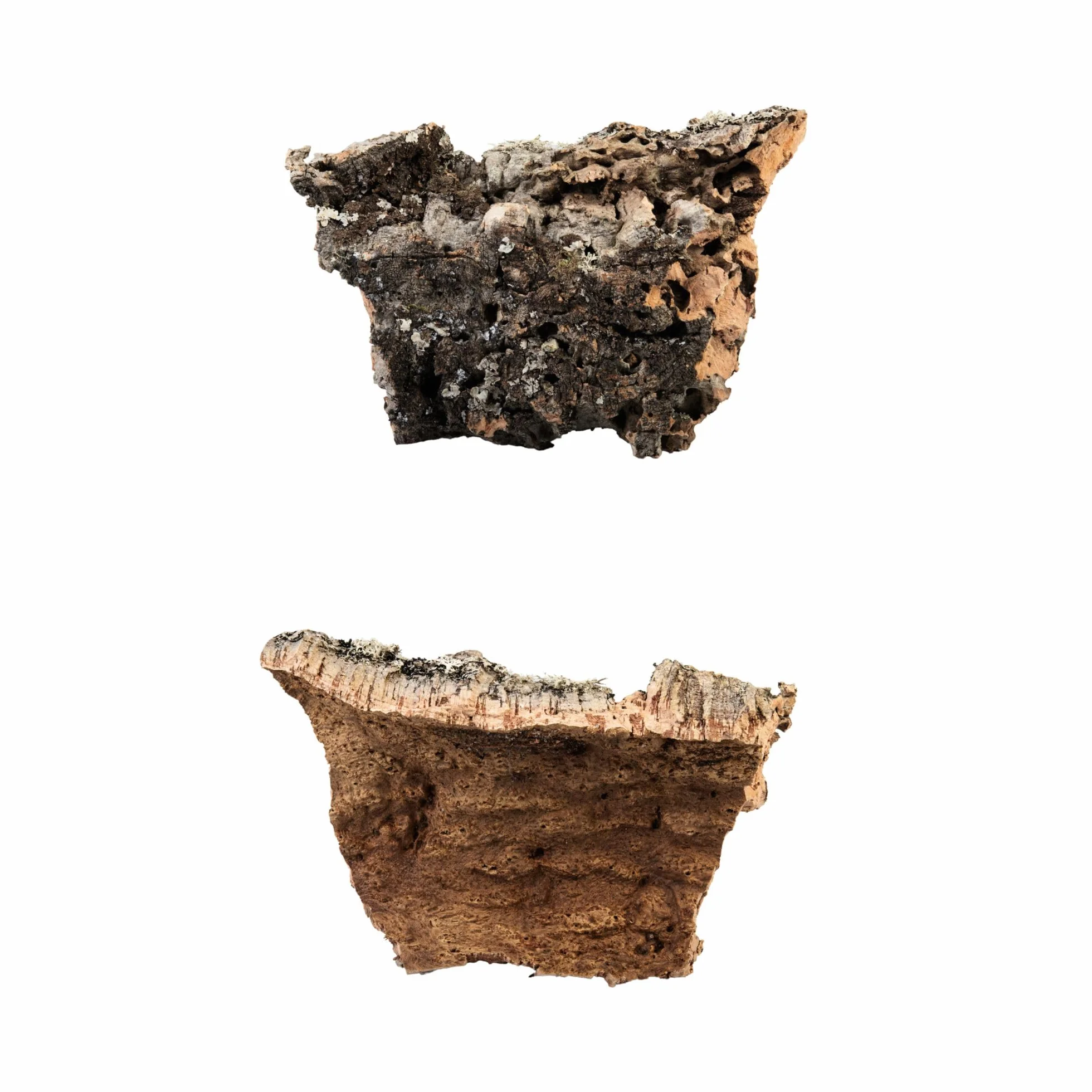 Corteccia de corcho 100% natural hecha en Italia para belén 5 kg