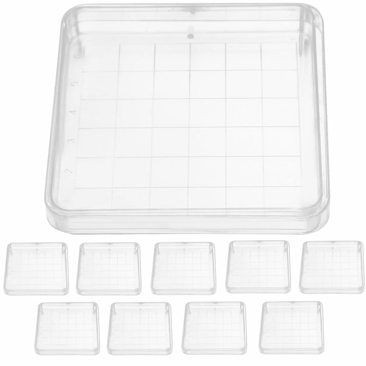 Cabilock Placas Petri Cuadradas 10x10cm con Tapa para Laboratorio Microbiología