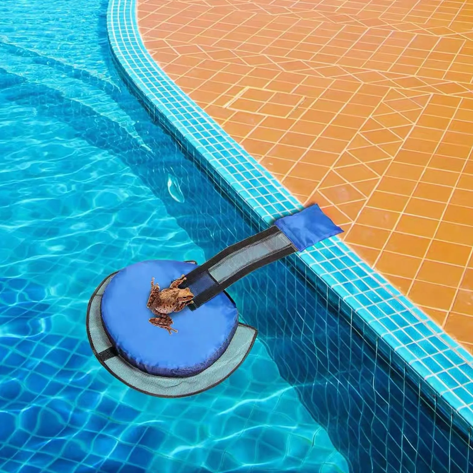 Qooloo Rampa de Rescate para Piscina, Rescate de Animales, Accesorio de Salida