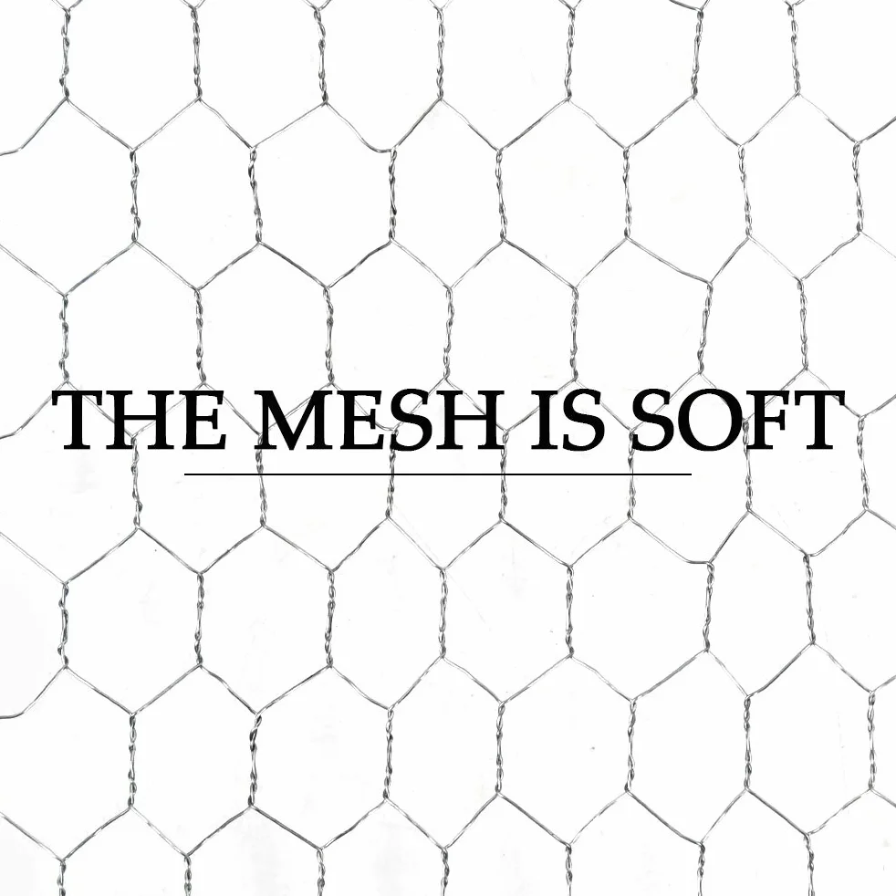 Malla de Alambre de Pollo 0,4 x 10 m Hexagonal Galvanizada para Cercado de Aves