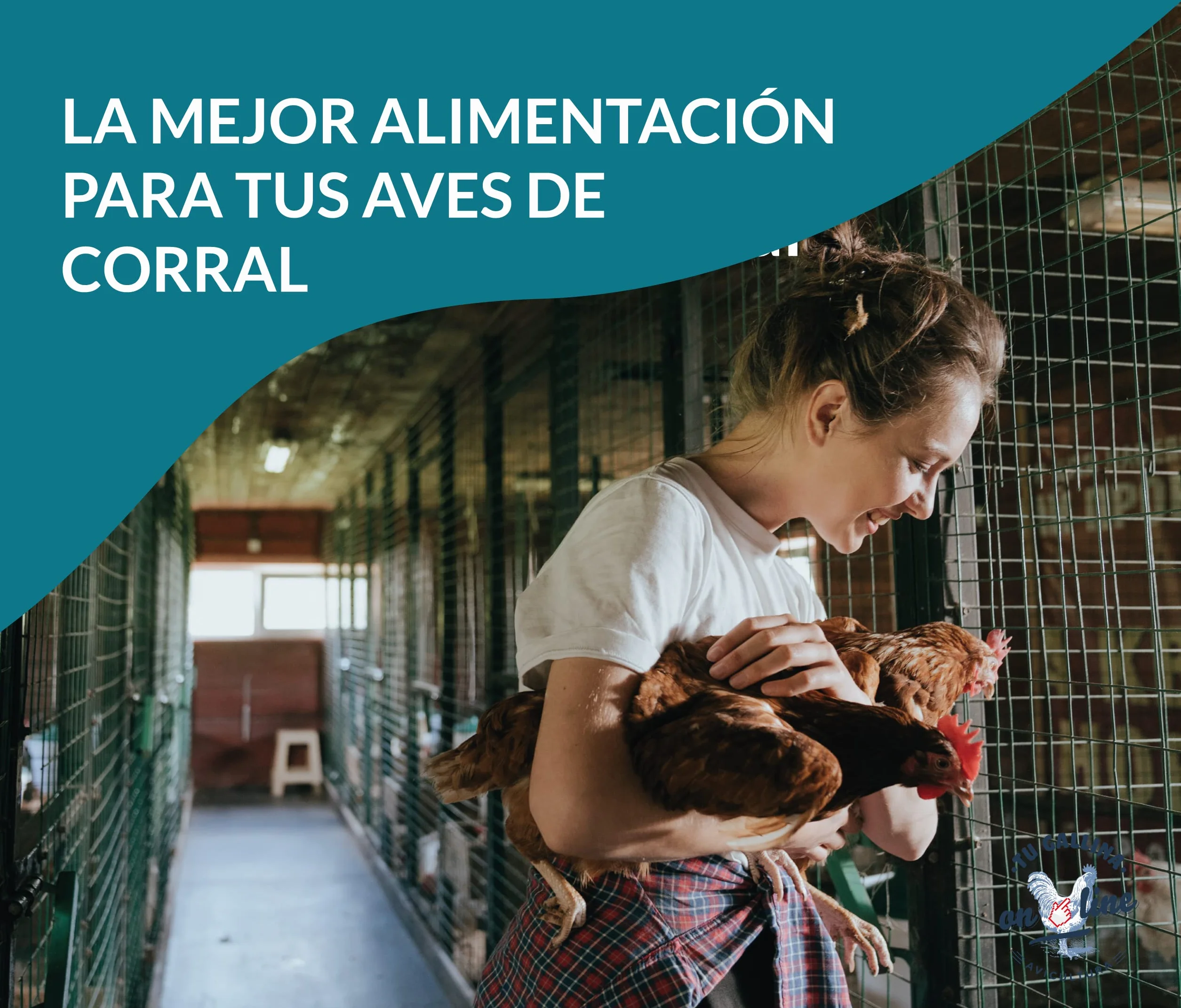 Pienso Gallinas Ponedoras Casqueado, Saco 30 kg
