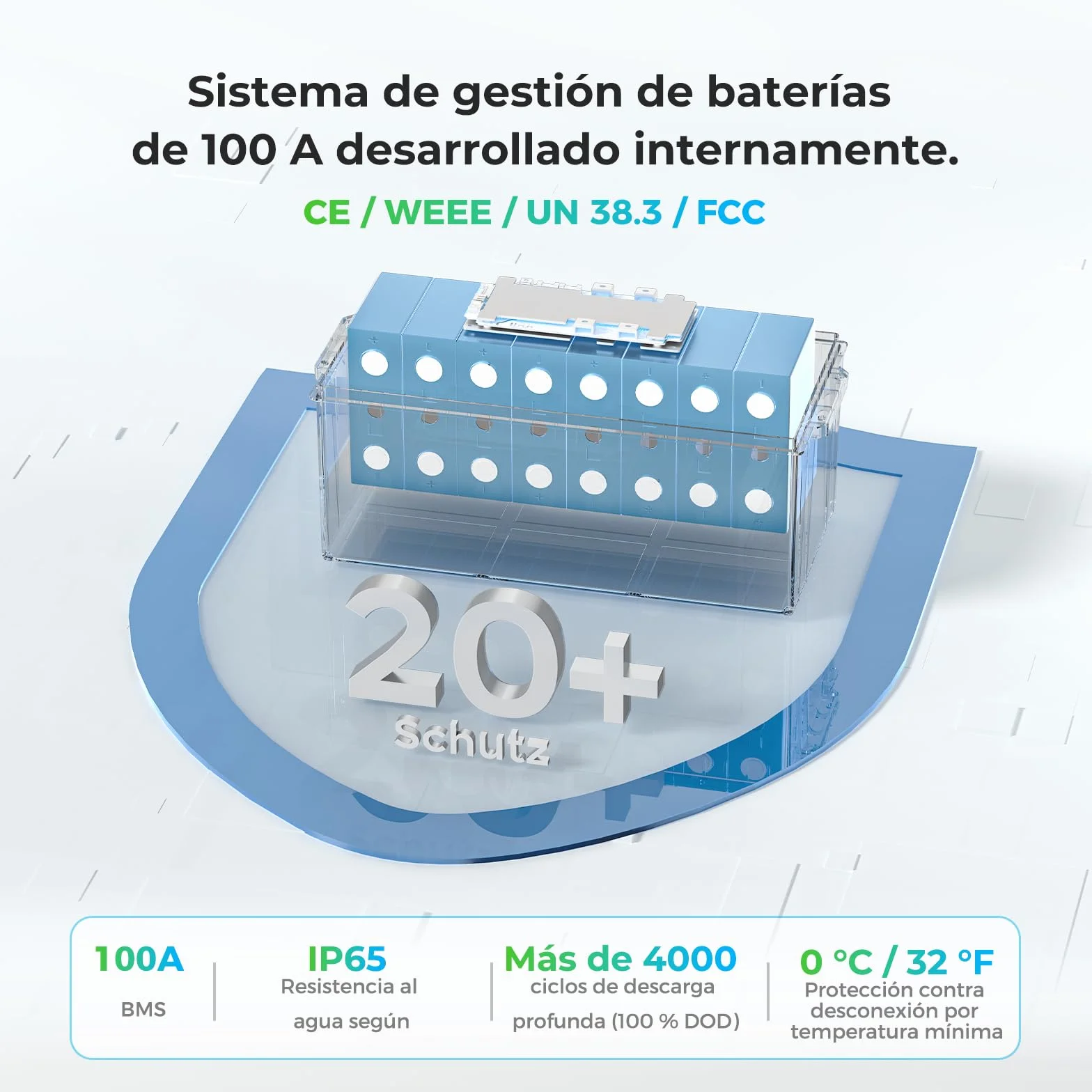 Dyness Batería Litio 24V 100Ah LiFePO4 con BMS 100A Protección Bajas Temperatura para Camper Solar