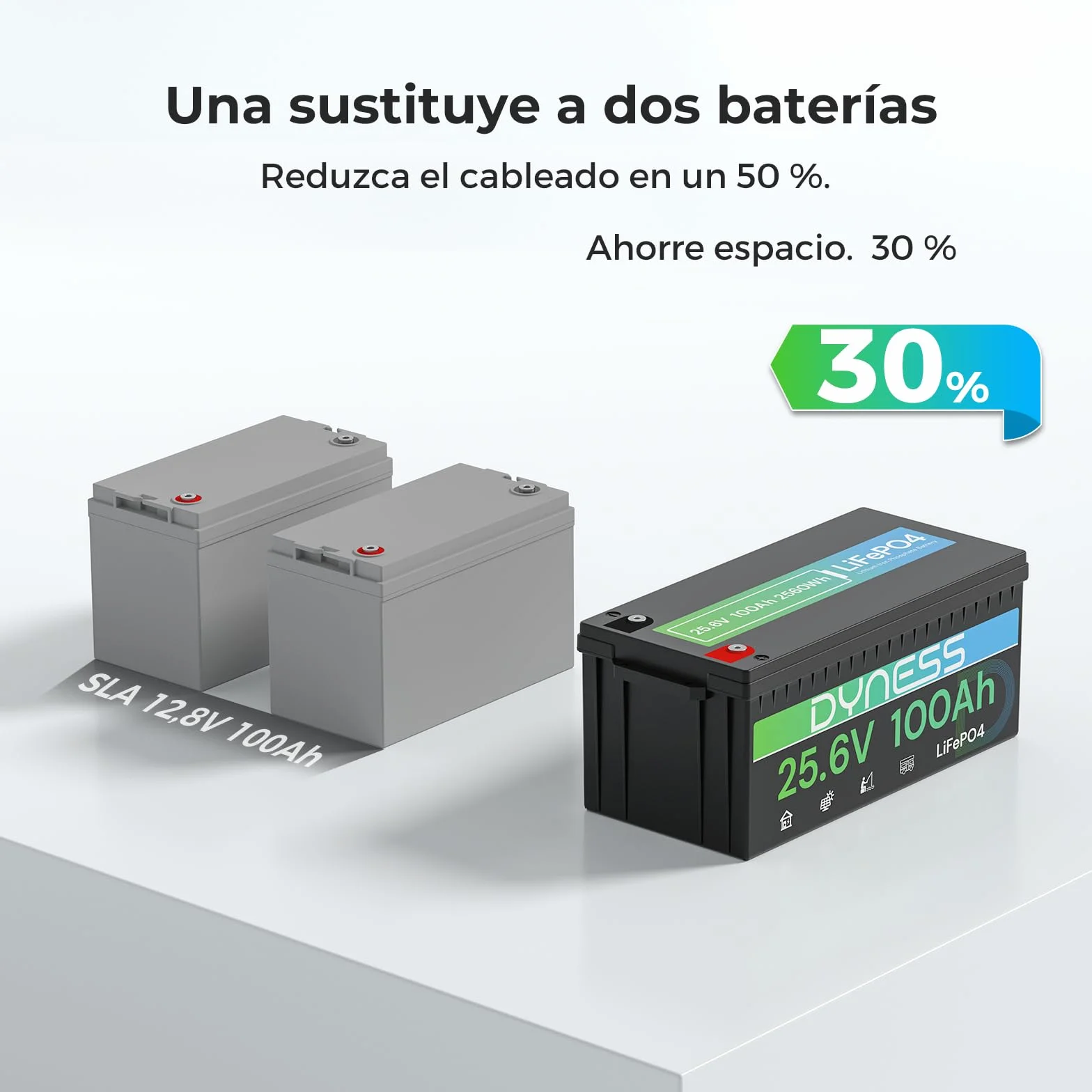 Dyness Batería Litio 24V 100Ah LiFePO4 con BMS 100A Protección Bajas Temperatura para Camper Solar