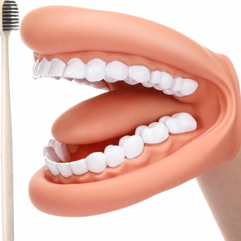 Maniquí boca con lengua y dientes, marioneta de mano, modelo dental con cepillo, herramienta de aprendizaje