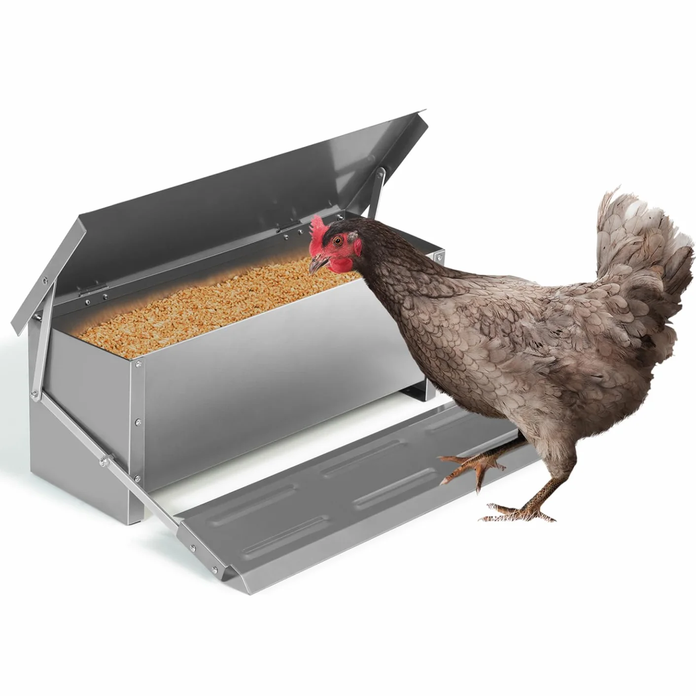 Alimentador XXL para gallinas, dispensador automático con pedal de acero 10 kg