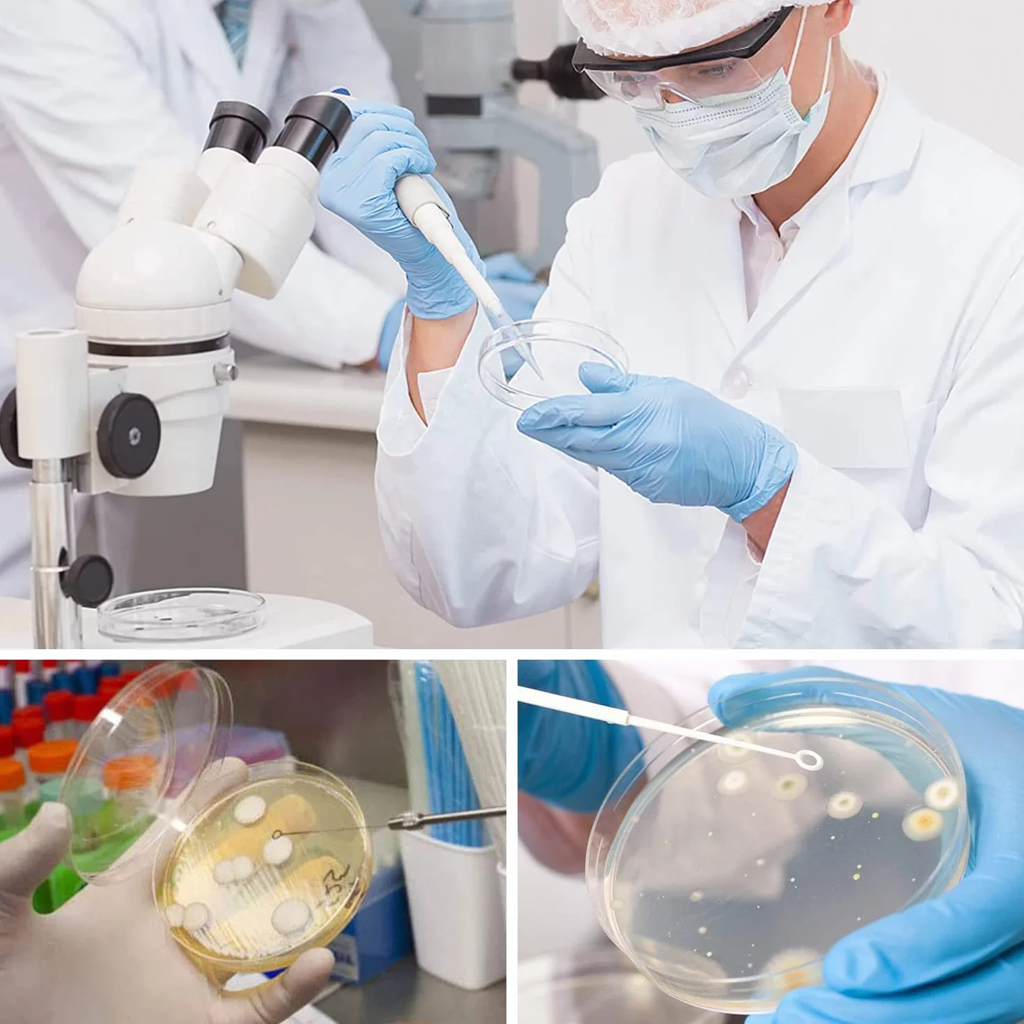 Placas de Petri de Plástico Estériles 55 mm x 13 mm con Goteros y Adhesivo para Laboratorio