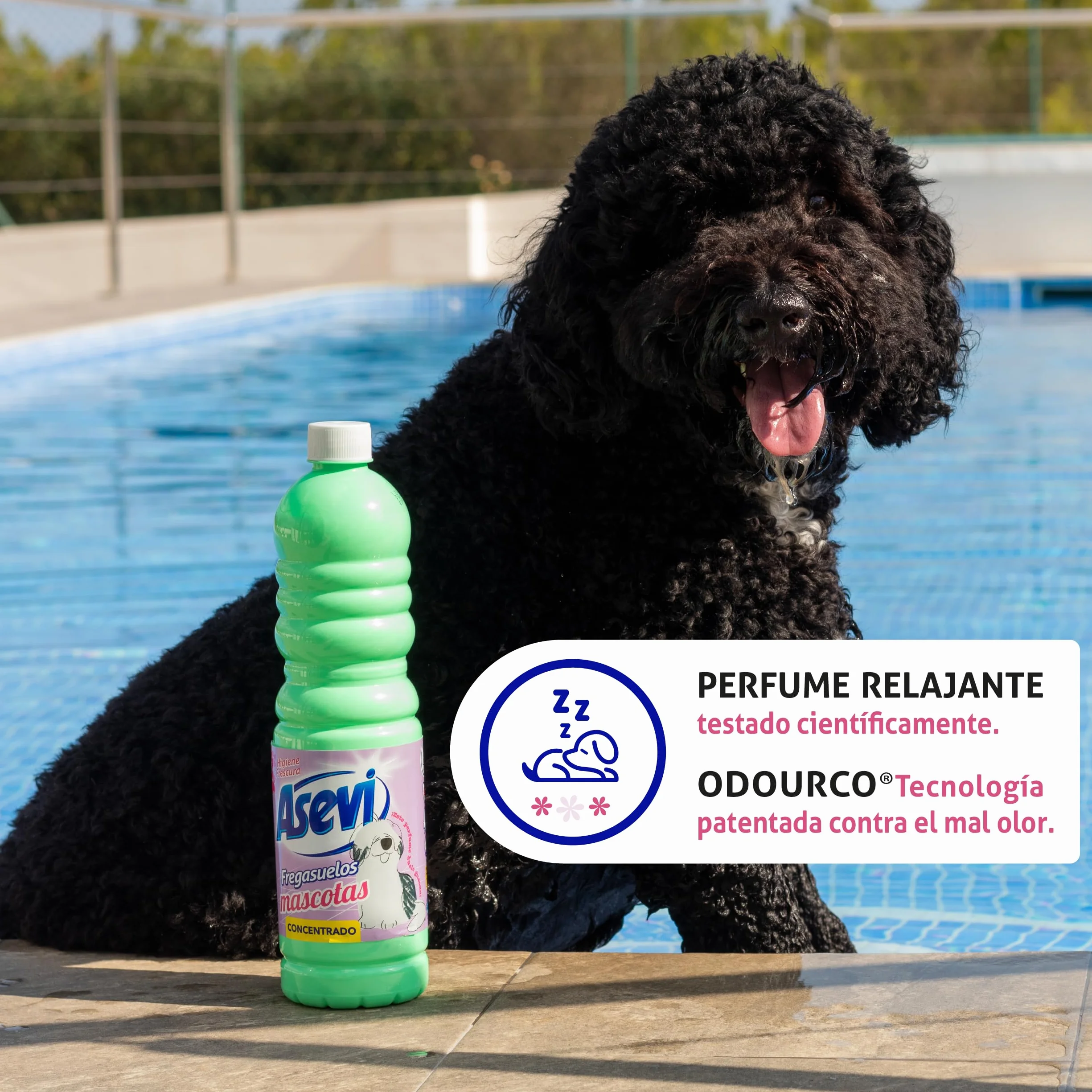 Asevi Fregasuelos Mascotas Concentrado 5 Litros pH Neutro