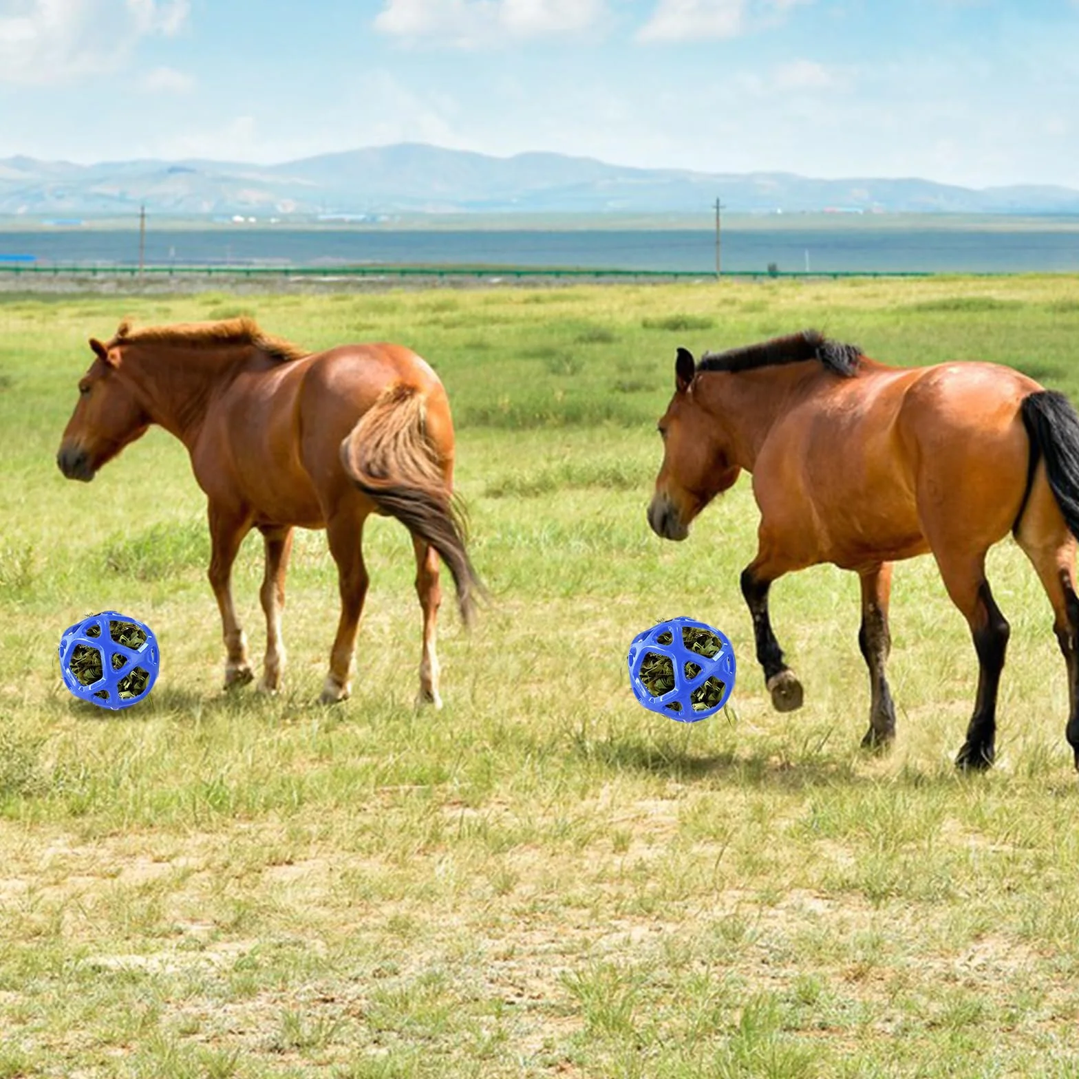 Pelota de juguete para caballos de 19 cm, rellenable con zanahorias, alivio del estrés