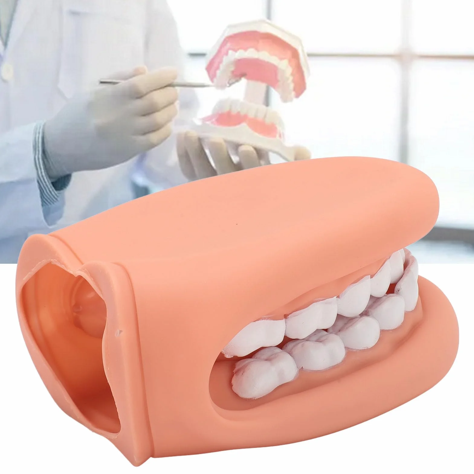 Marioneta de Boca de 28 Dientes con Lengua, Modelo de Demostración para Enseñanza de Niños, Silicona Bjorem