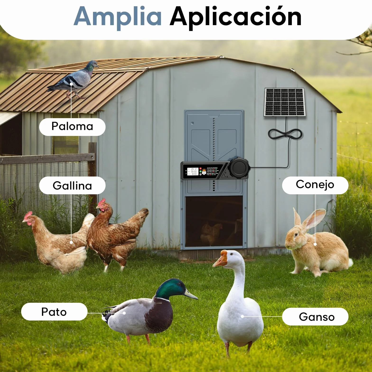 CHAMUTY Puerta automática para gallinero solar con temporizador, panel solar 7W, LCD, mando a distancia