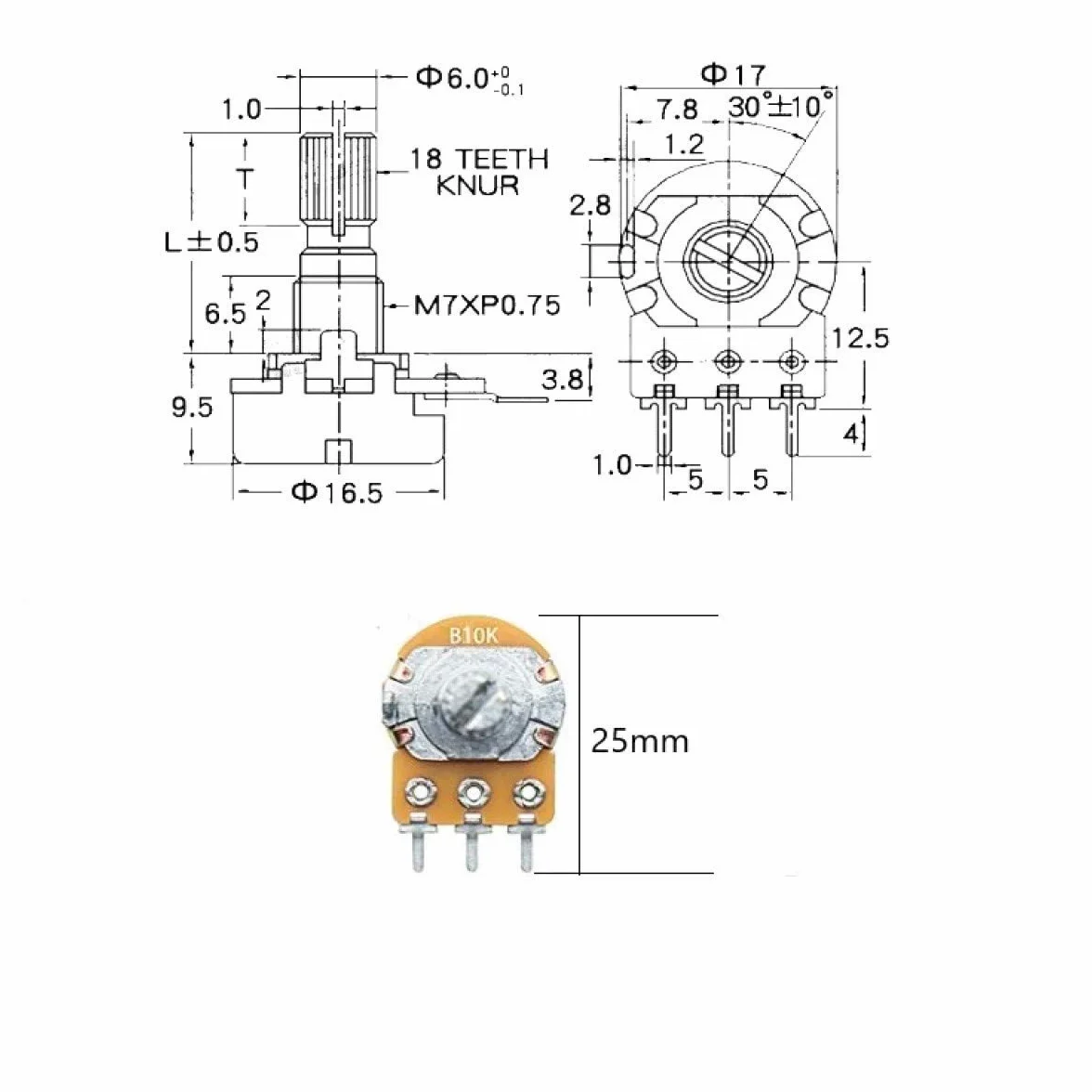 Potenciómetro B5K B10K B20K B50K B100K Ohm, Kit de Potenciómetros Lineal Cónico Rotativo, 3 Terminales B-Tipo Estéreo Audio con Perilla