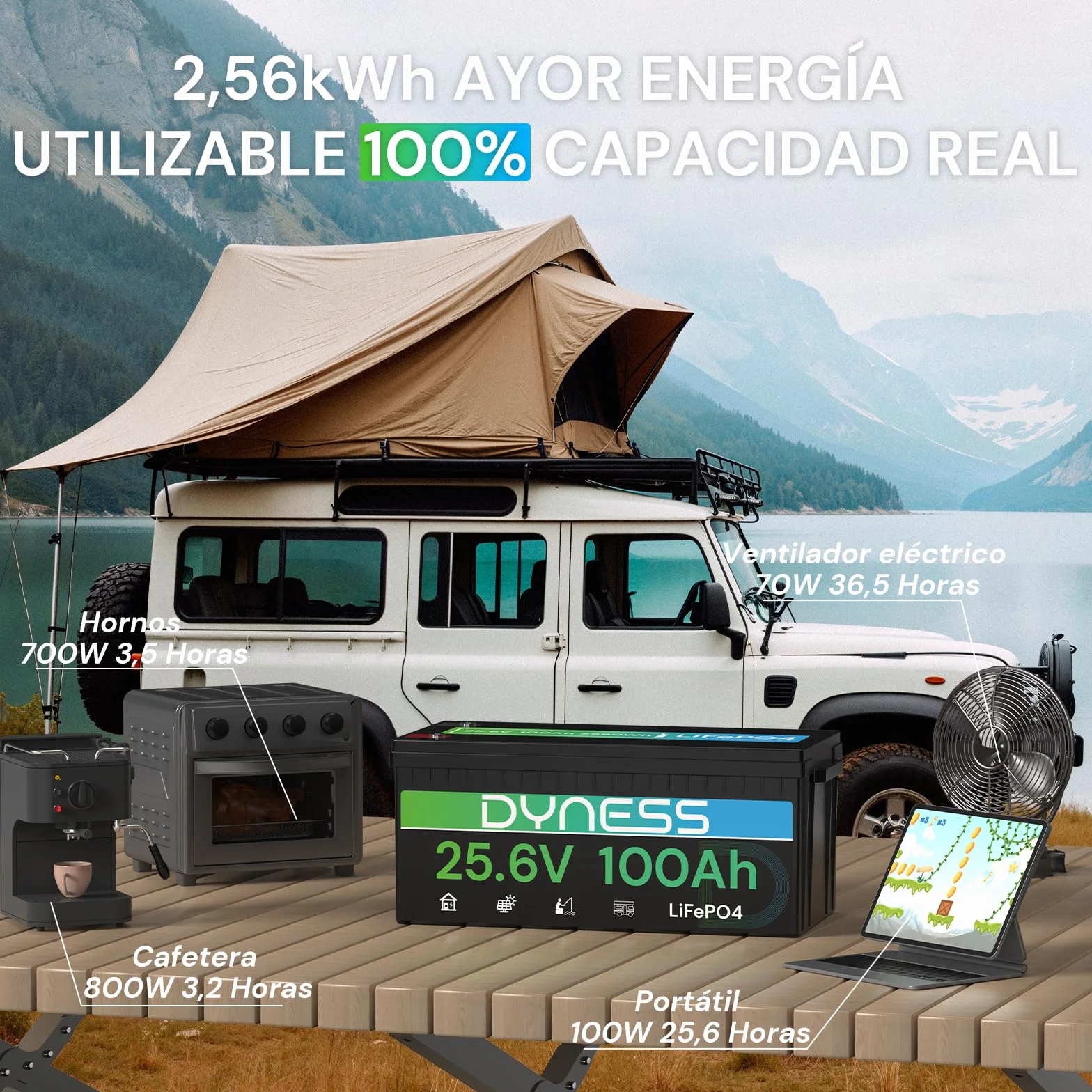 Dyness Batería Litio 24V 100Ah LiFePO4 con BMS 100A Protección Bajas Temperatura para Camper Solar