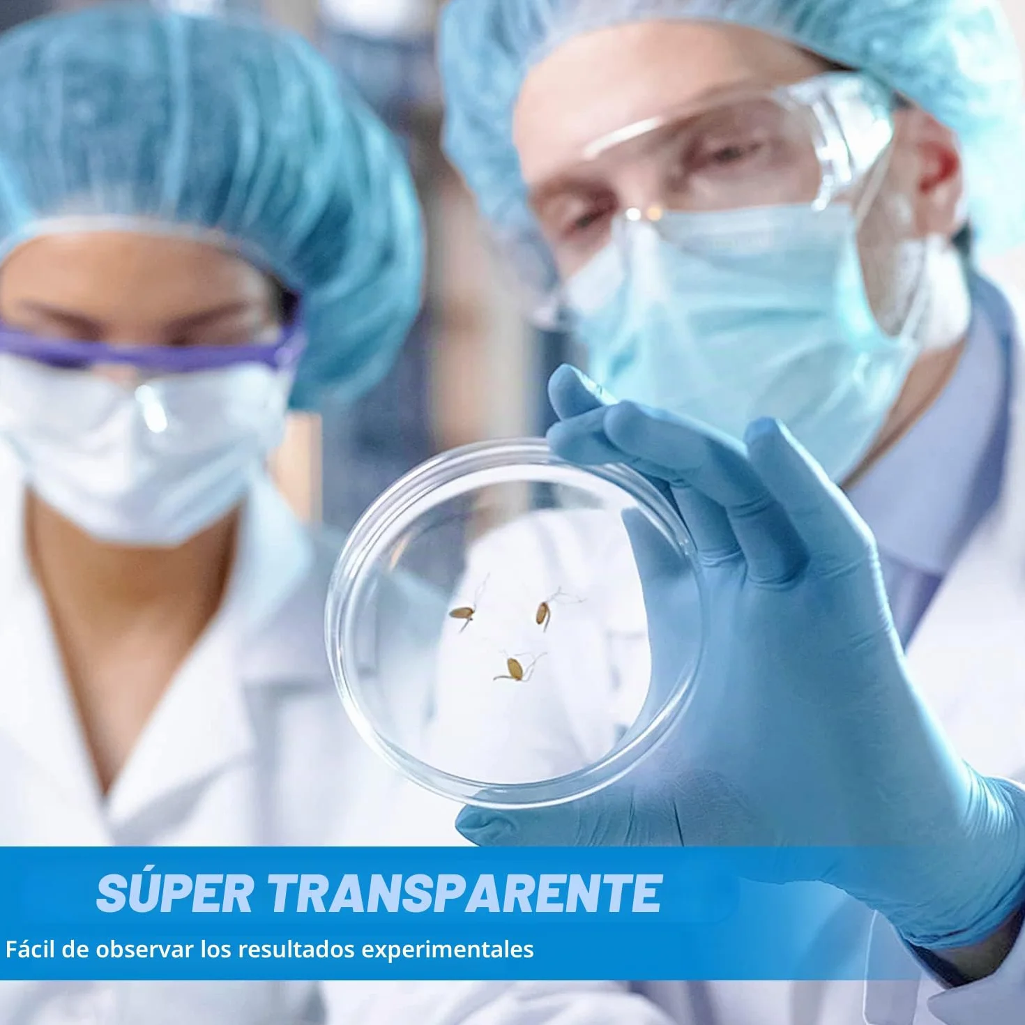 Placas de Petri de Plástico Estériles 55 mm x 13 mm con Goteros y Adhesivo para Laboratorio