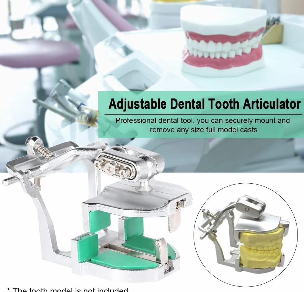 Articulador de dientes ajustable profesional laboratorio dental