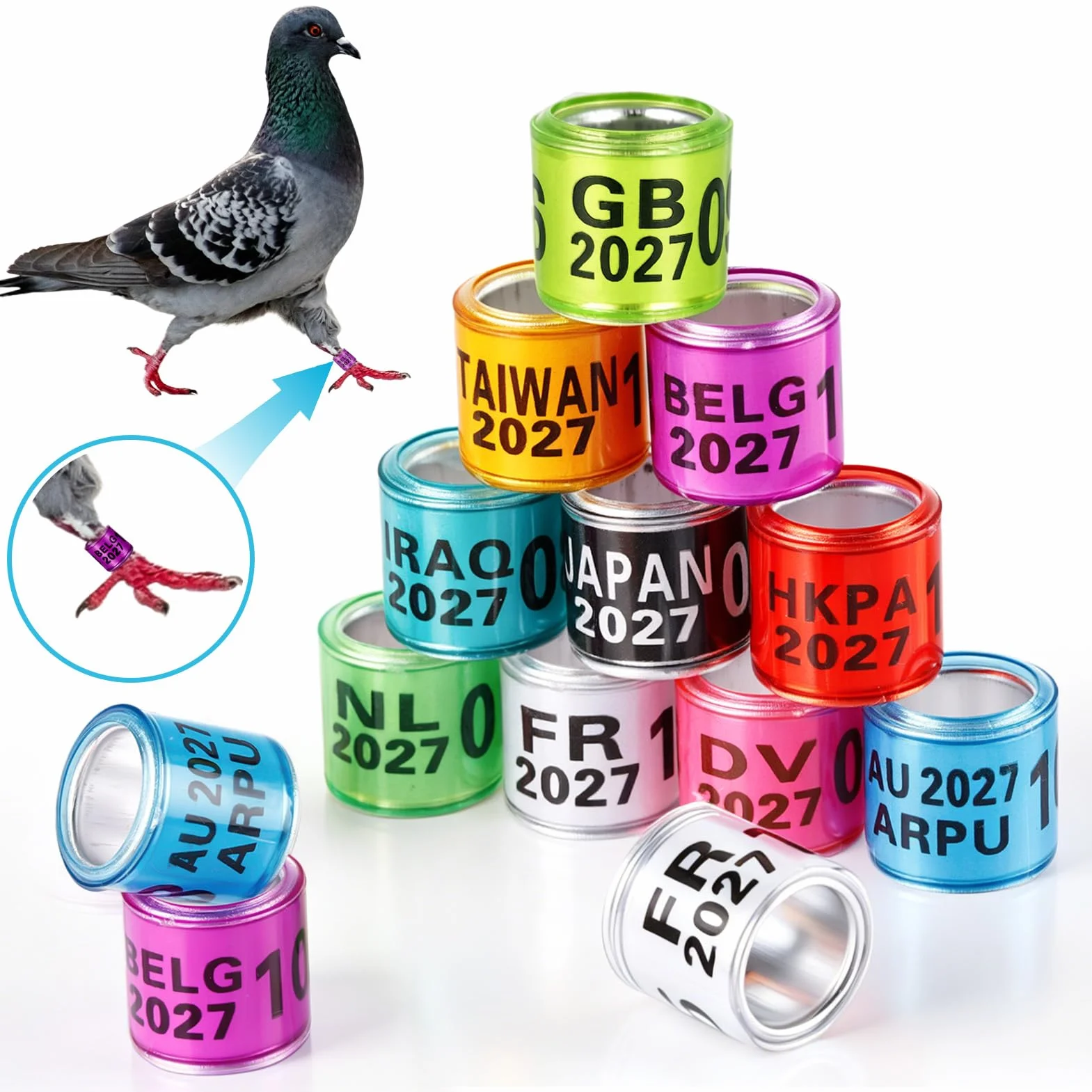 Anillos de aluminio para patas de paloma 10 colores identificación bandas 2026
