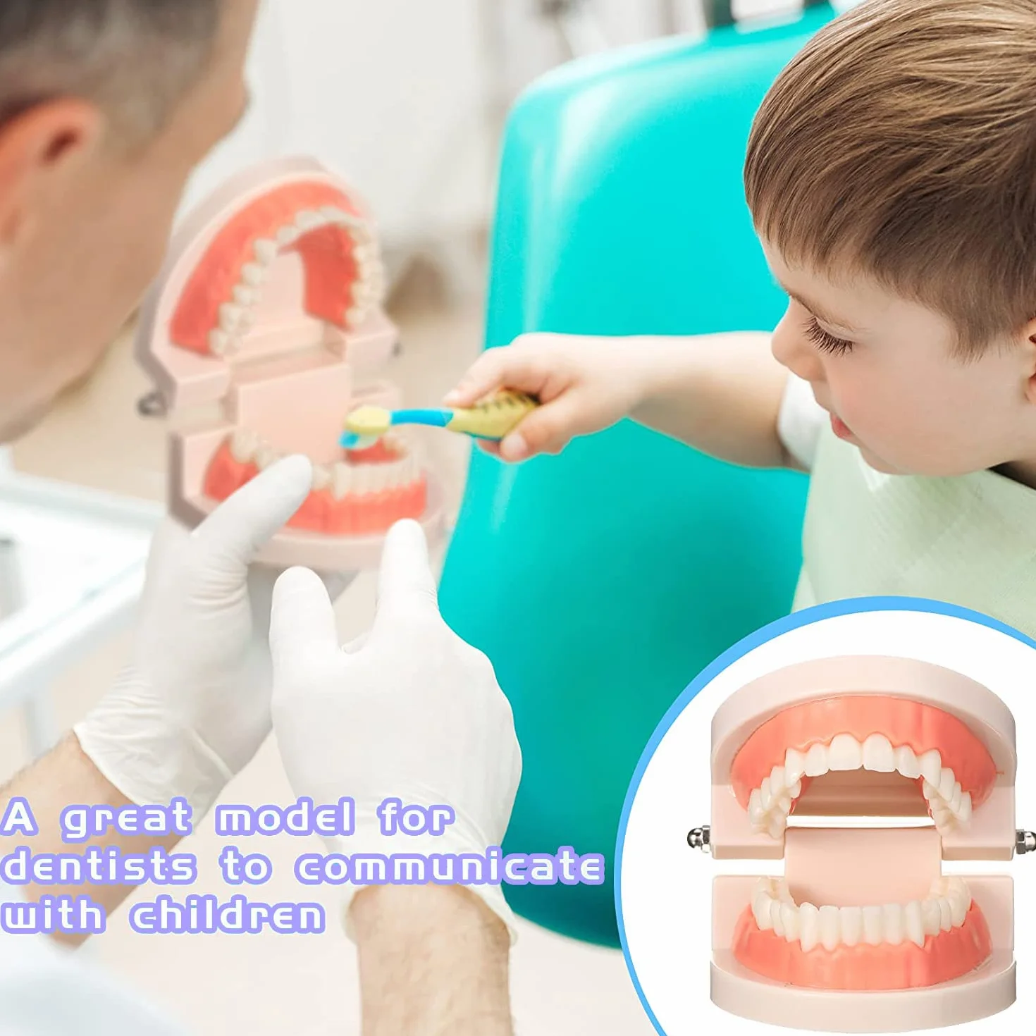 Modelo Dental de Demostración Estándar PVC para Adultos Niños Enseñanza Dental Cuidado Bucal con 2 Cepillo de Dientes