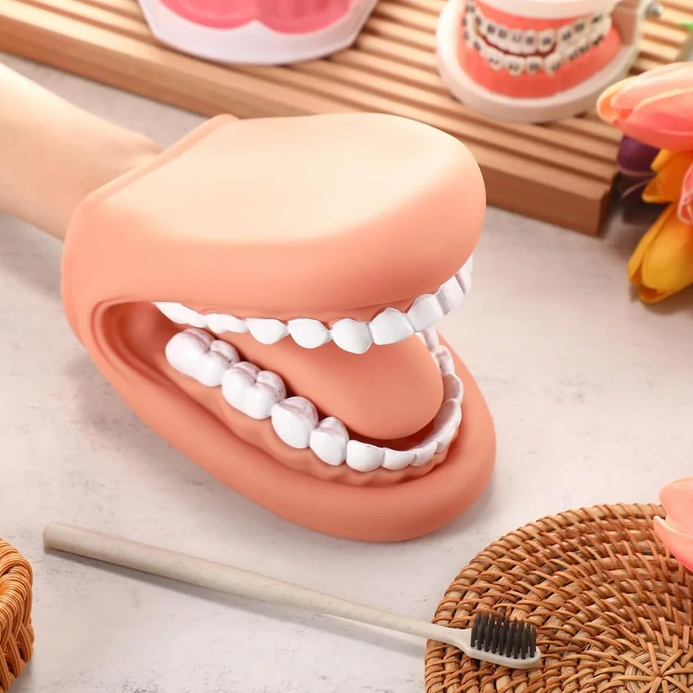 Maniquí boca con lengua y dientes, marioneta de mano, modelo dental con cepillo, herramienta de aprendizaje
