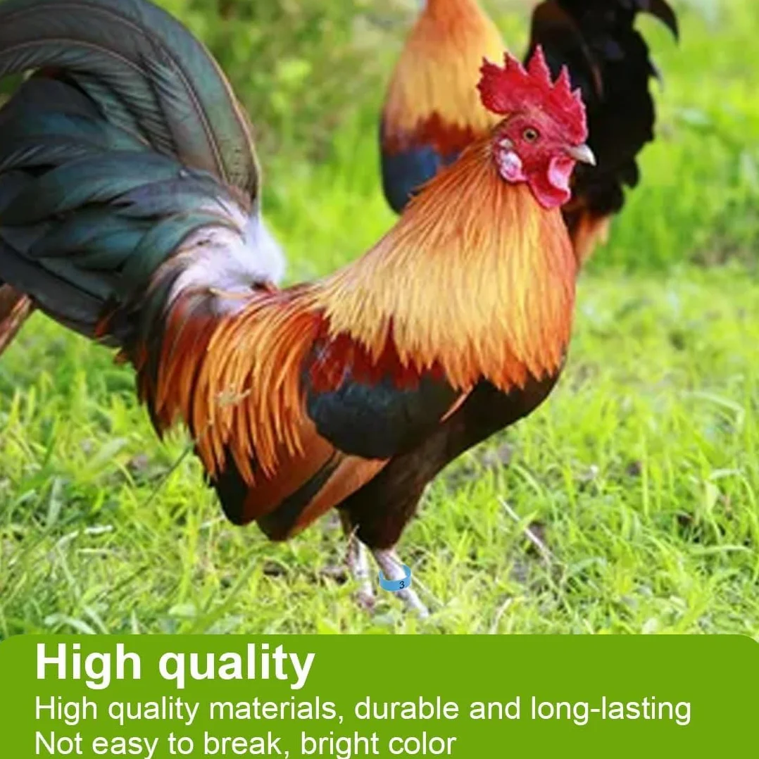 Anillas para Patas de Aves 16mm Multicolor Numeración - Anillos Identificación Gallinas Pavos Patos Gansos Plástico Avicultura