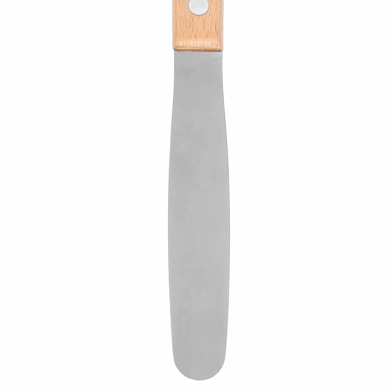 Espátula de yeso dental acero inoxidable 20 cm para dentista