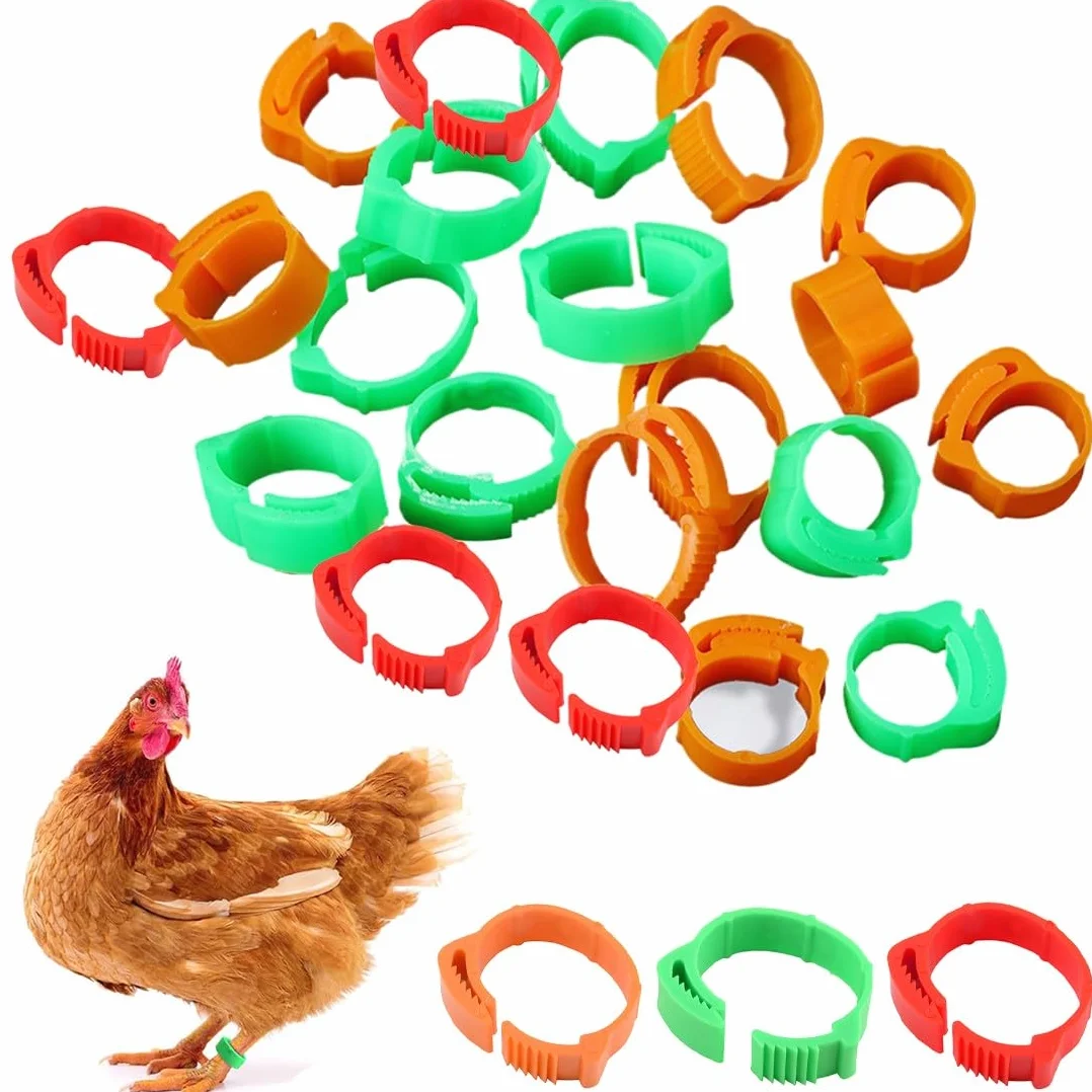 JEYORZY 60 Piezas Anillas para Gallinas, Anillos de Marcado para Pollos, Gansos, Patos