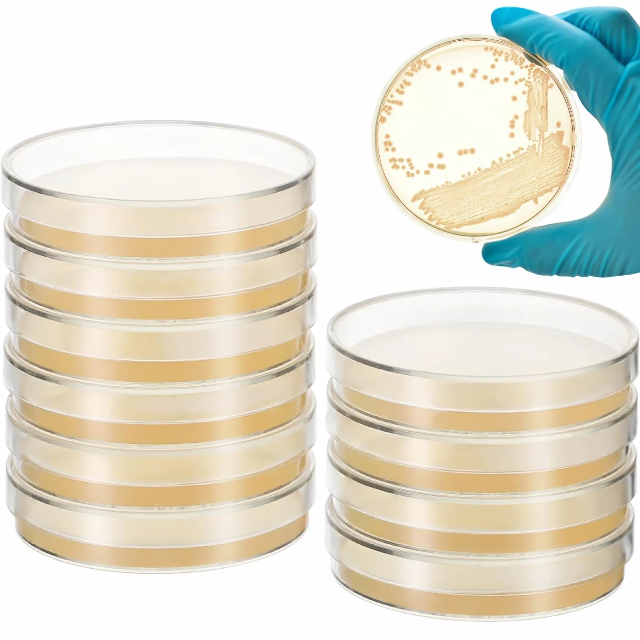 Placas De Petri Prellenadas De Agar Nutritivo 7cm, 10 Unidades, Esterilizadas Para Laboratorio