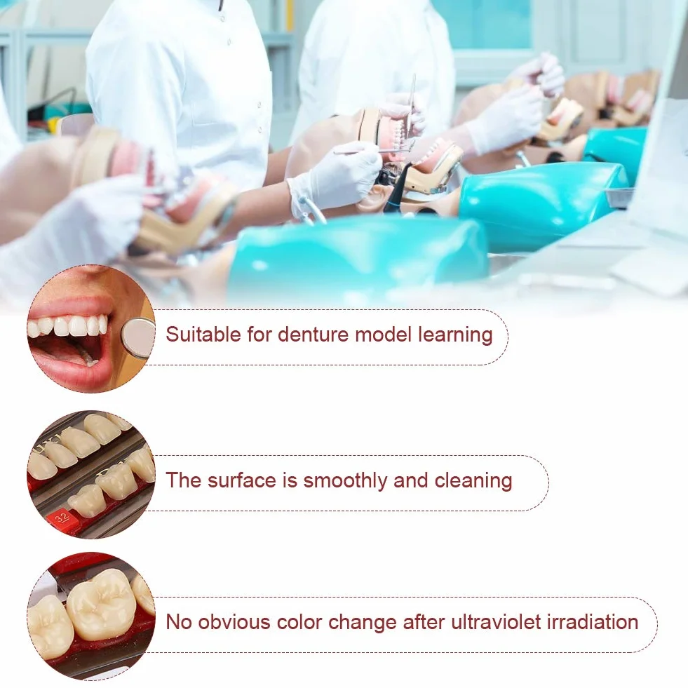 Diente de Resina Firme Acabado Fino Superficie de Limpieza Dientes Falsos Profesional para Modelos Halloween
