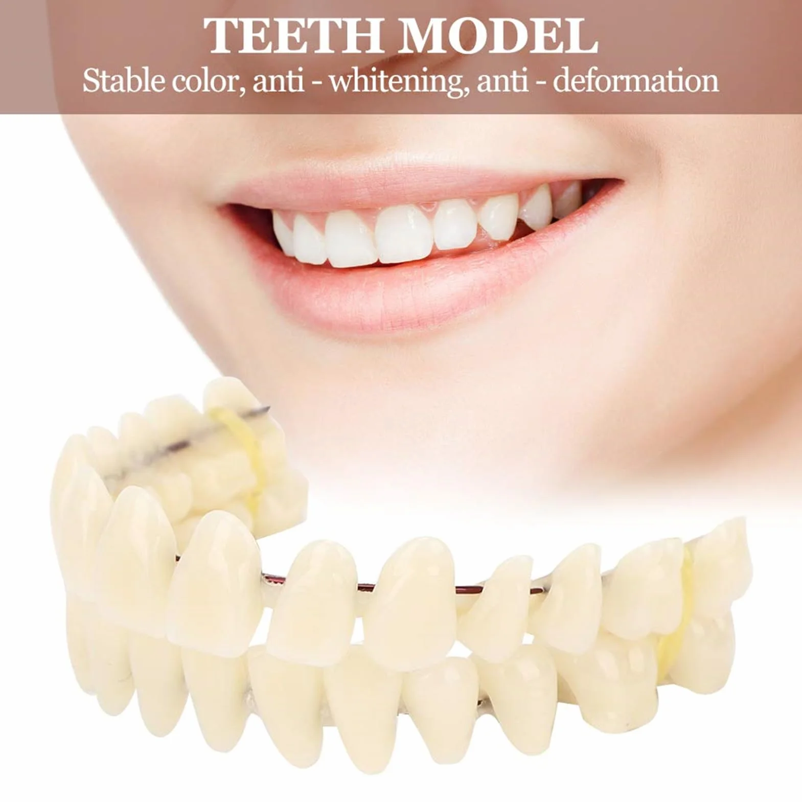Juego de dientes postizos de resina, modelo de enseñanza dental, 280 piezas, suministro dental