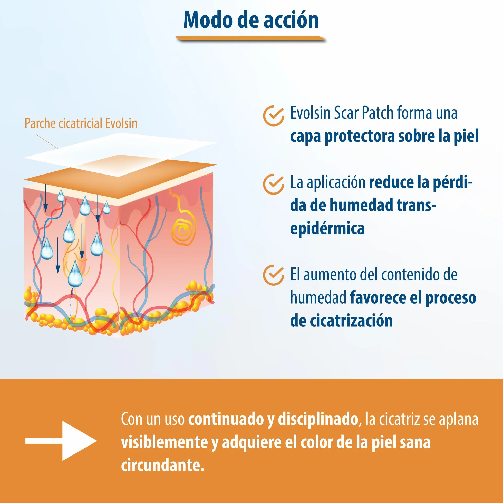Evolsin parches cicatrizantes silicon scar sheets para cicatrices