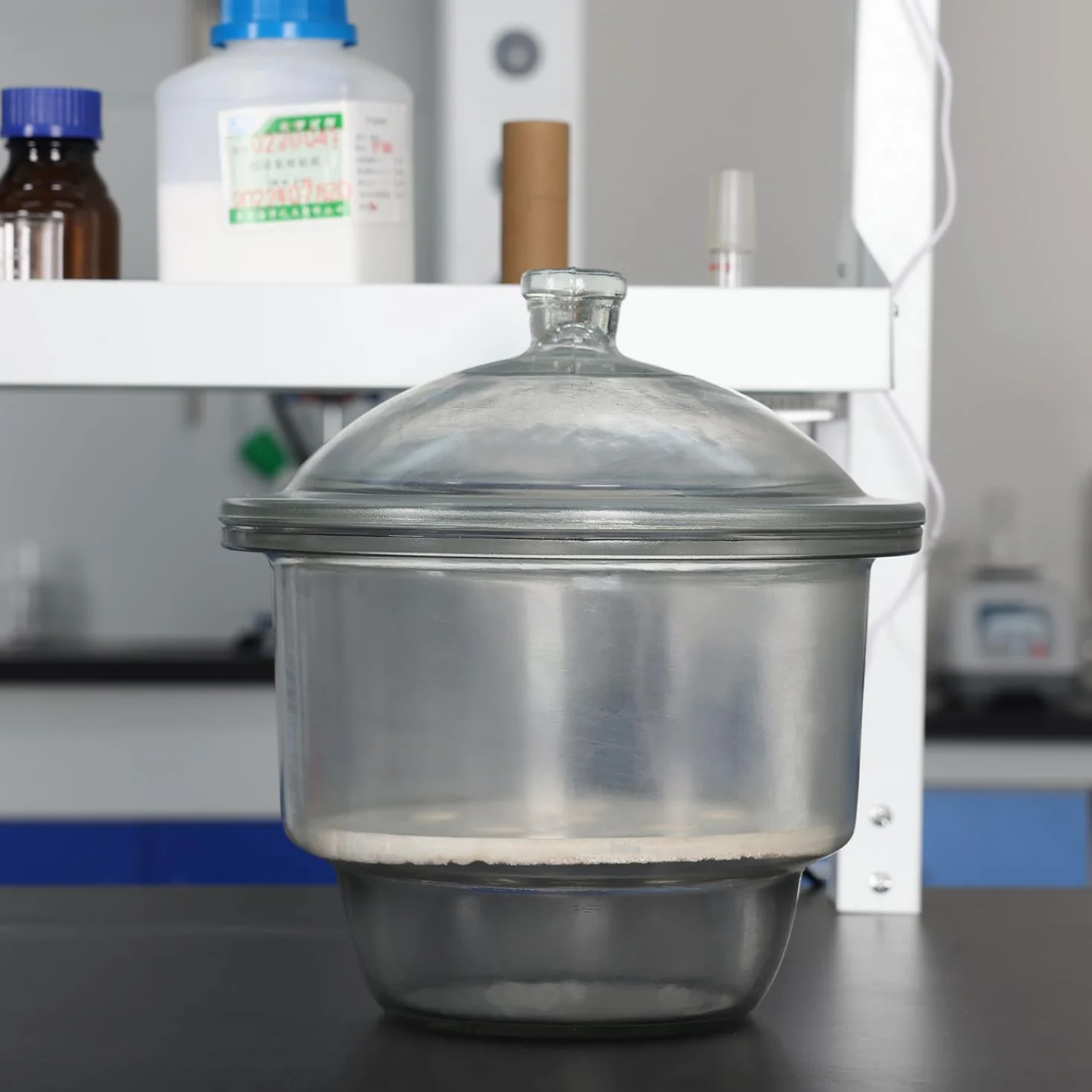 Desecador de Vidrio de Laboratorio con Cubierta de Pomo y Placa de Porcelana ID:300 mm