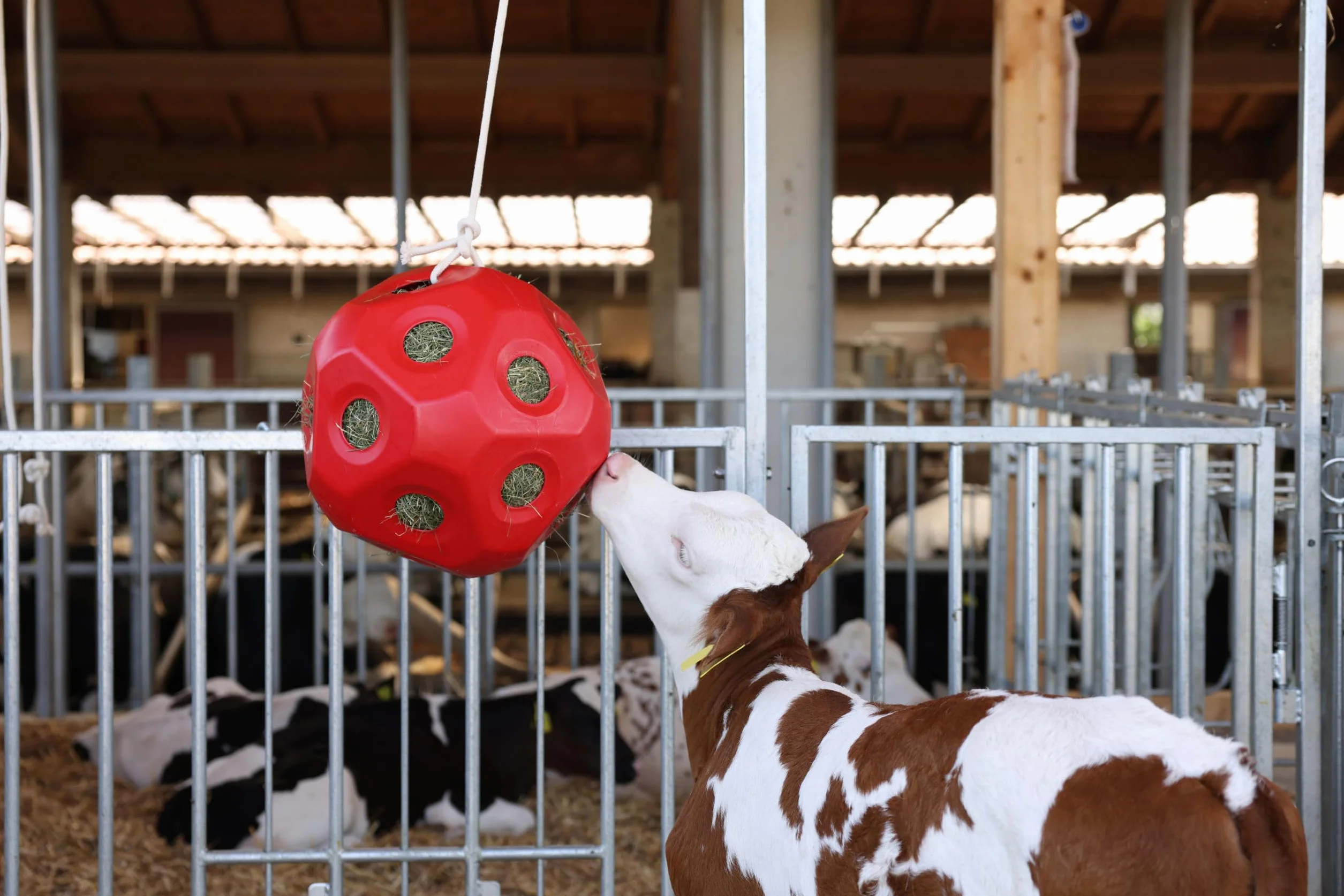 Kerbl Pelota de alimentación roja Ø40 cm rellenable para caballos y terneros