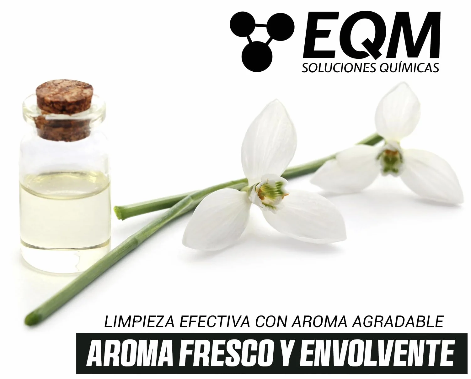 EQM ECO-204 Limpiacristales Multiusos Profesional 5L