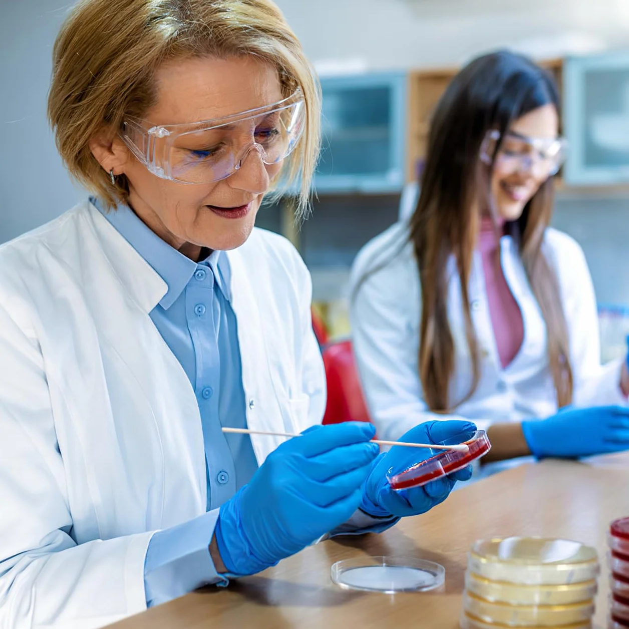 Placas De Petri Prellenadas De Agar Nutritivo 7cm, 10 Unidades, Esterilizadas Para Laboratorio