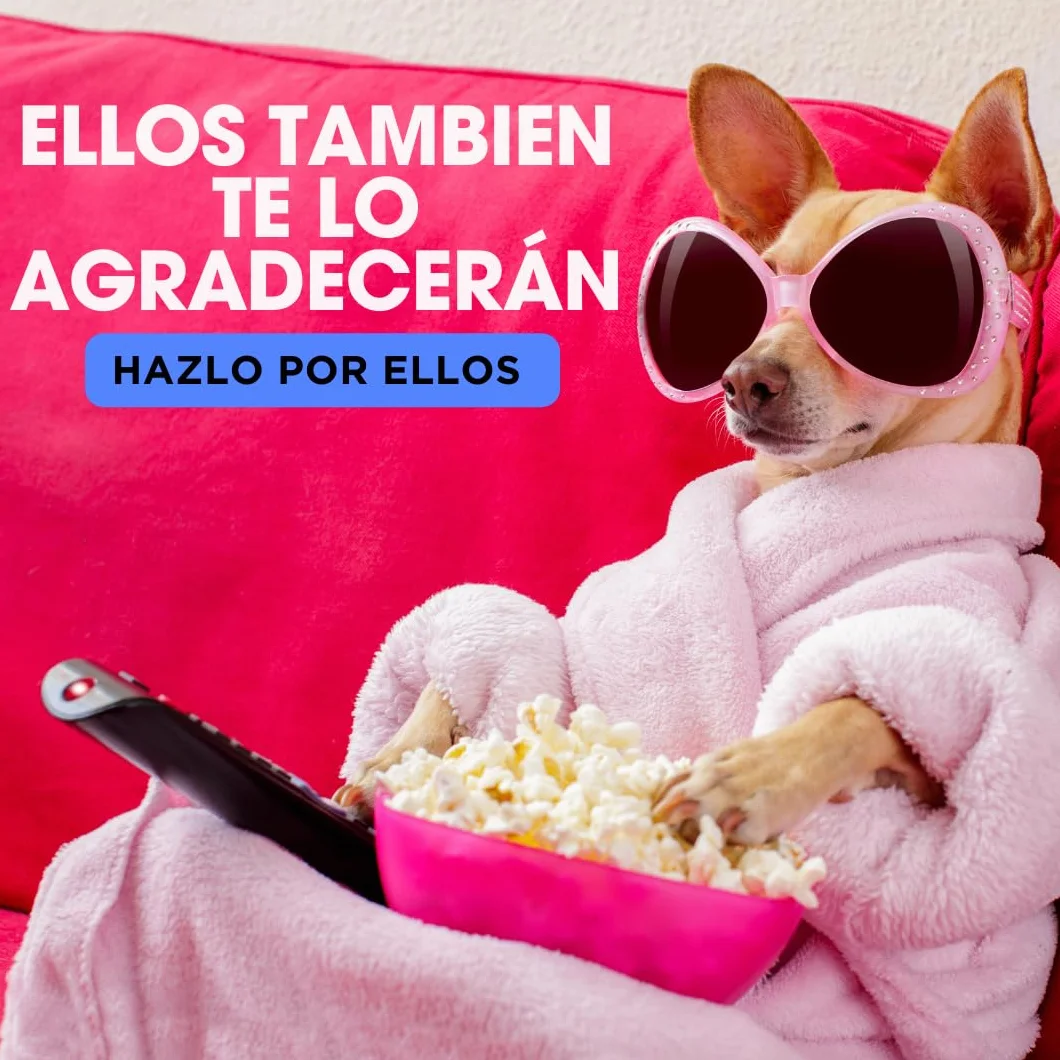Fregasuelos Concentrado 5 Litros pH Neutro Aroma Flor de Lotto Brillo e Higiene