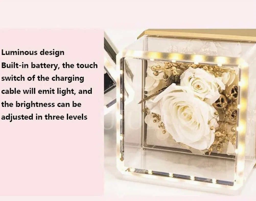 Joyero Organizador de joyas Caja organizadora luminosa táctil Exquisita propuesta portátil Regalo de cumpleaños Joyas Anillo de diamantes Caja de almacenamiento Accesorios de dormitorio (Color: D) (F)