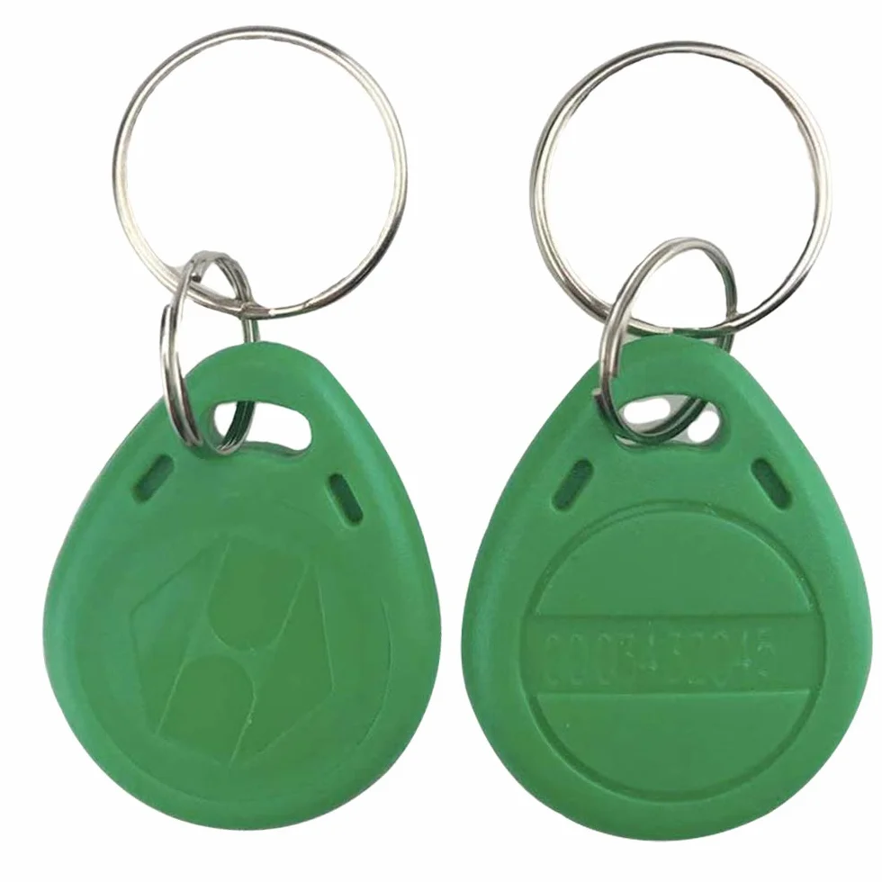 Llavero RFID 125 KHz Tarjeta EM-ID Control Acceso Puerta Solo Lectura Paquete 10
